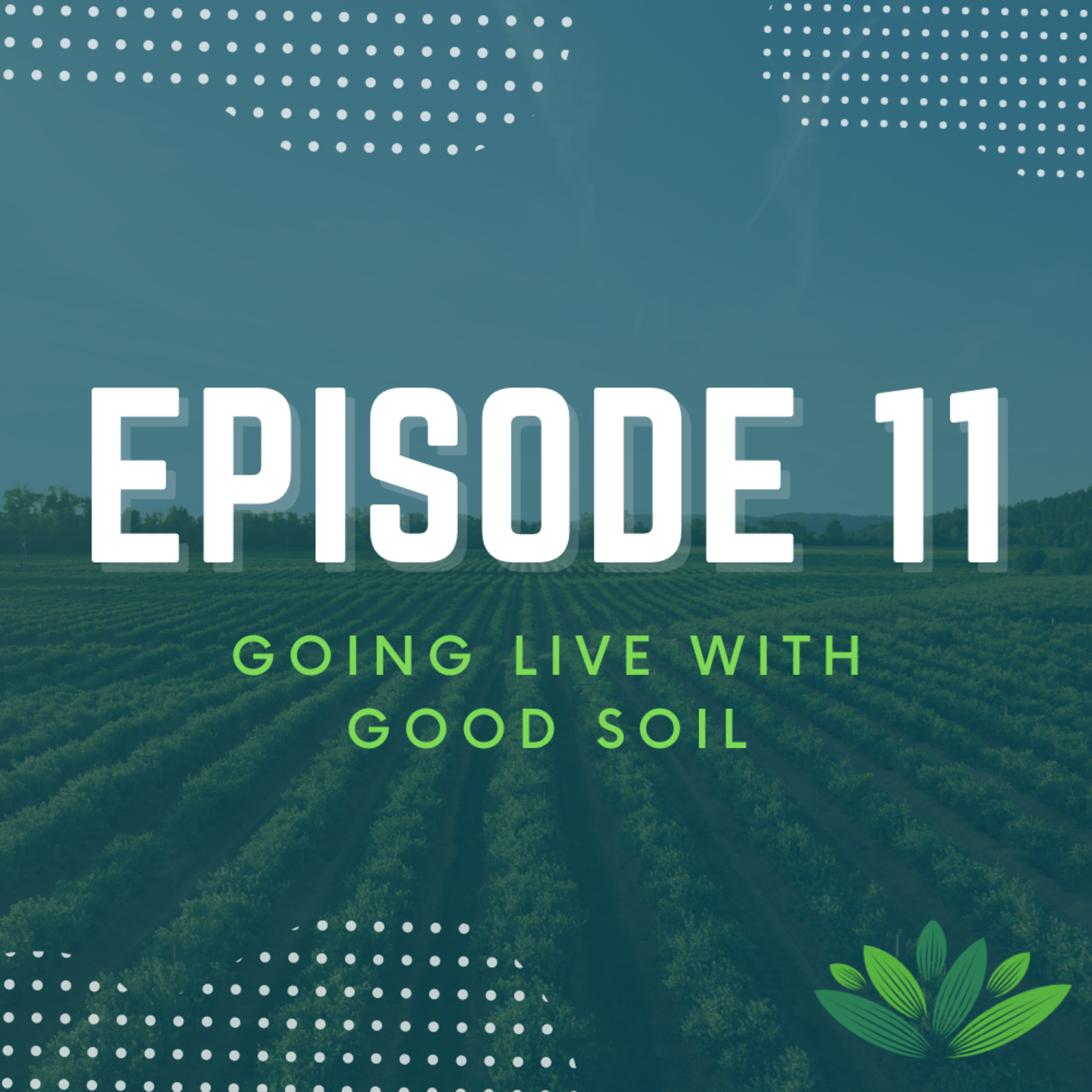 Going Live With Good Soil