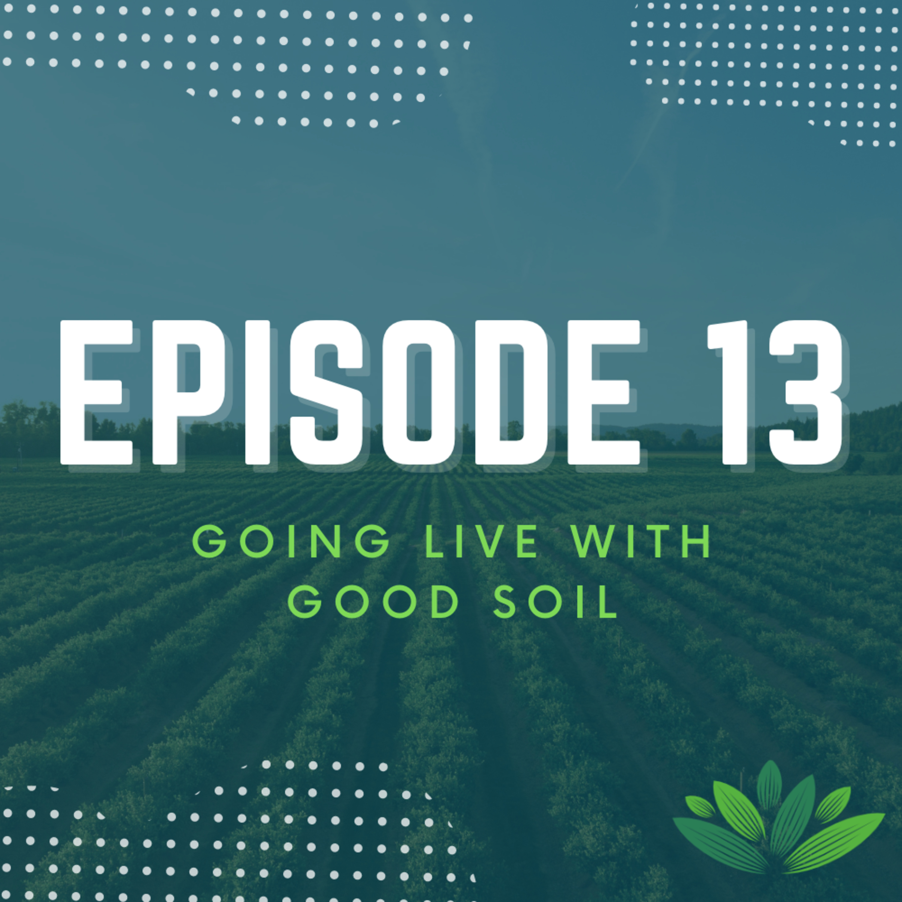 Going Live With Good Soil