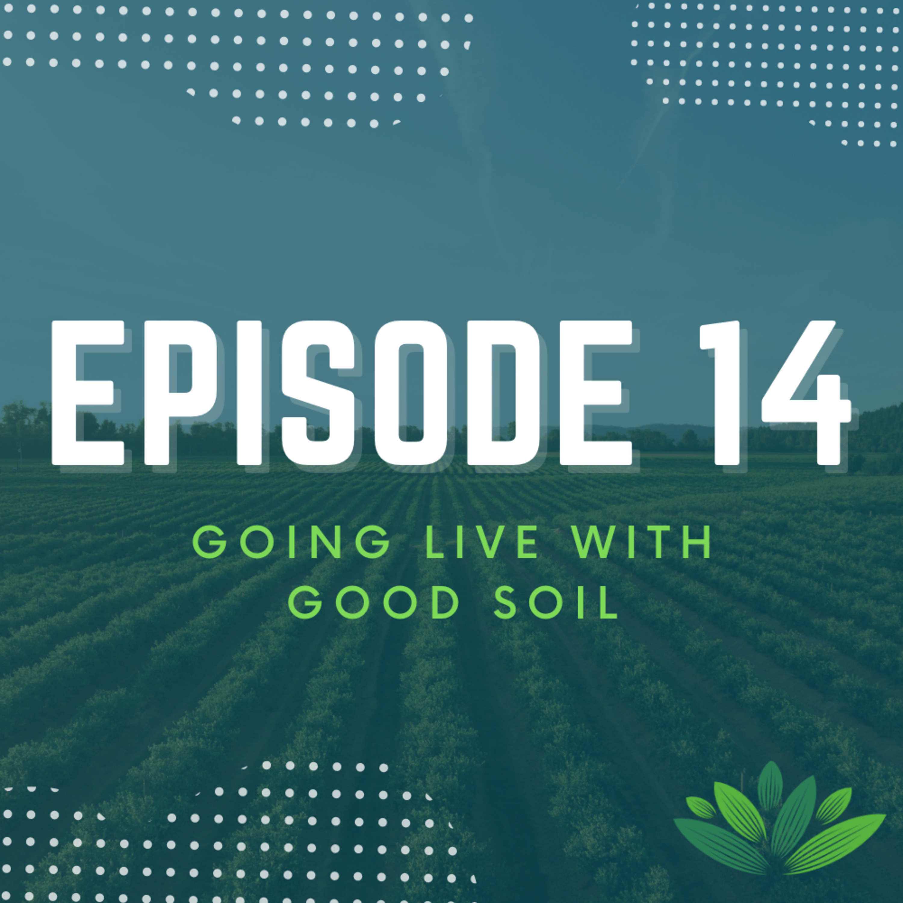 Going Live With Good Soil
