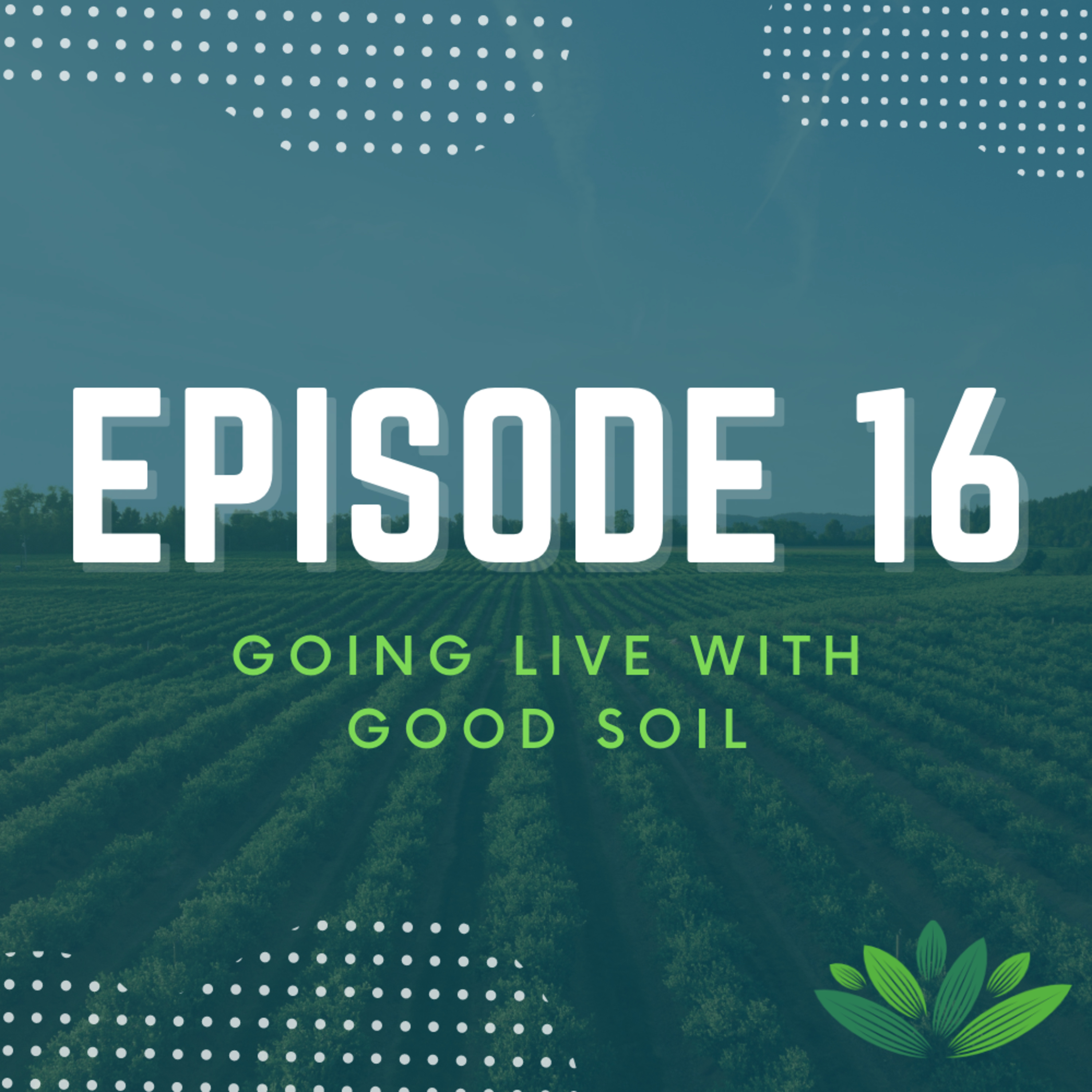 Going Live With Good Soil