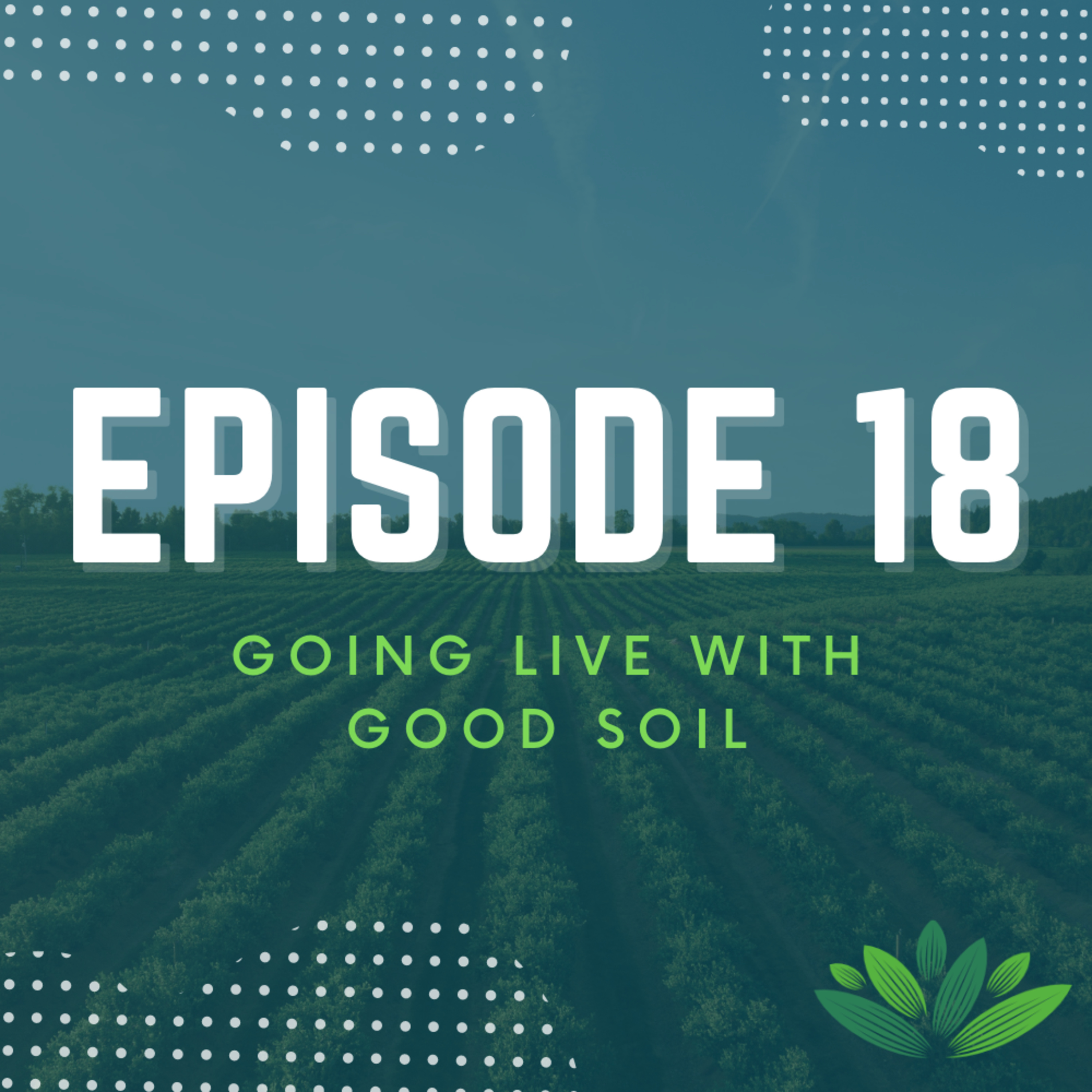 Going Live With Good Soil