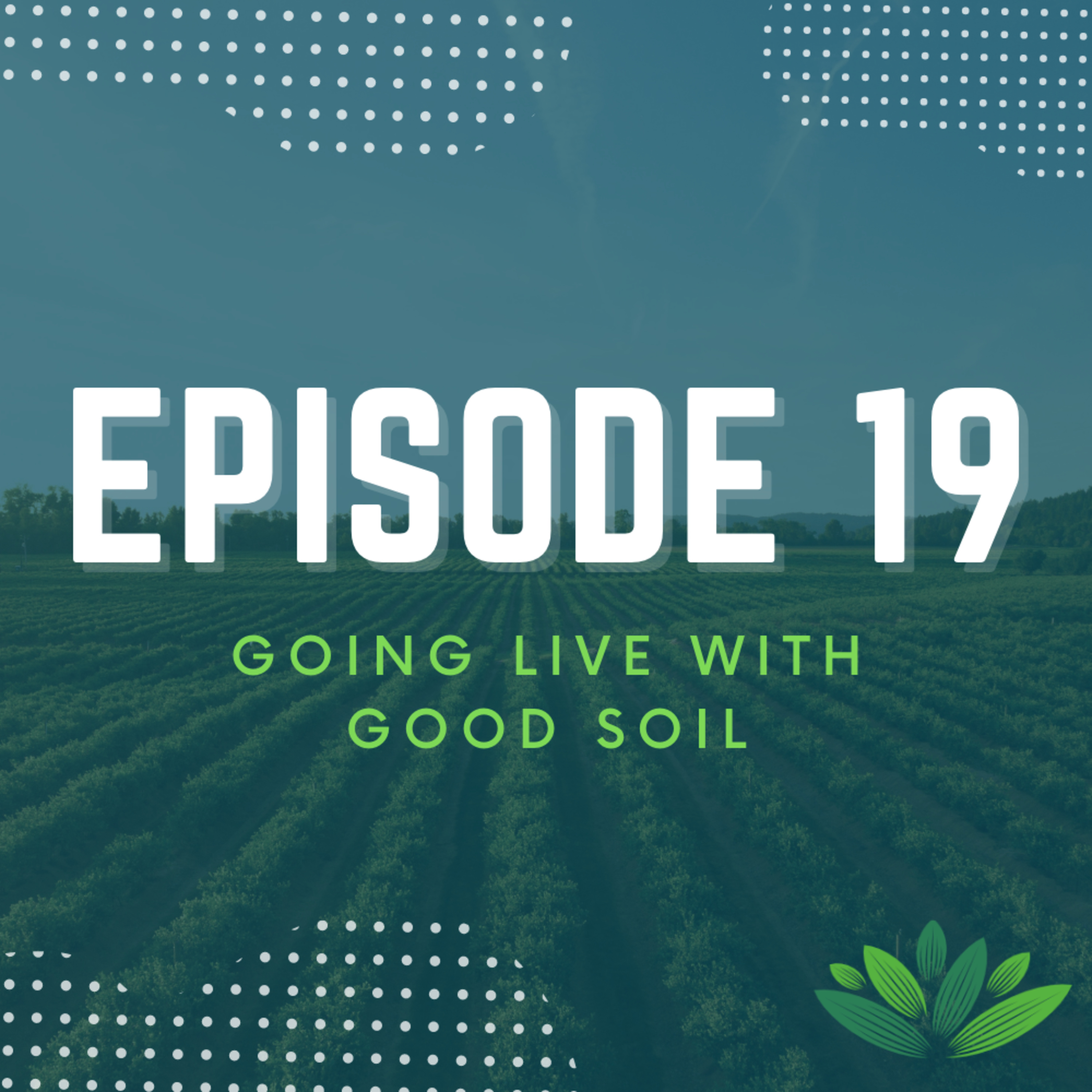 Going Live With Good Soil