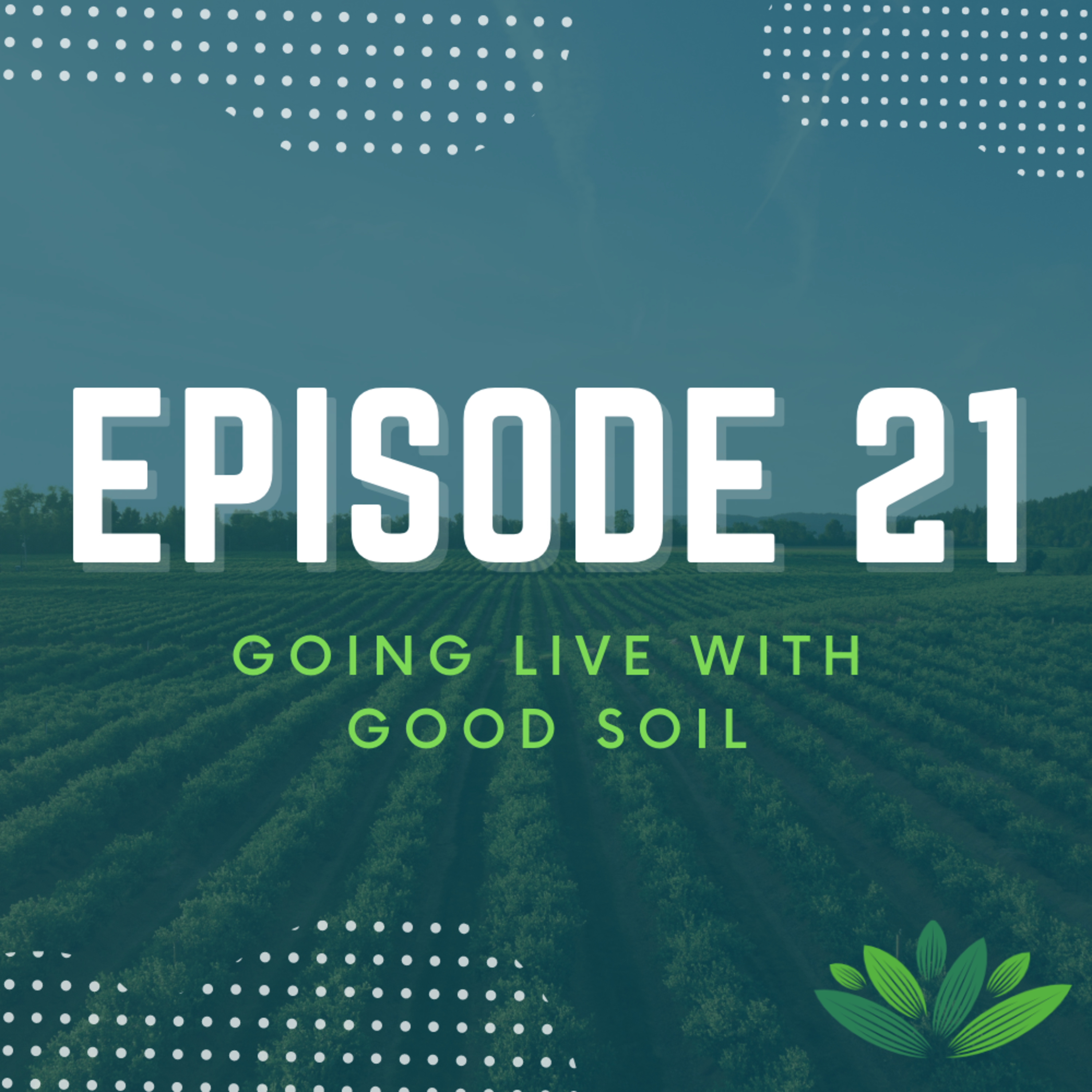Going Live With Good Soil