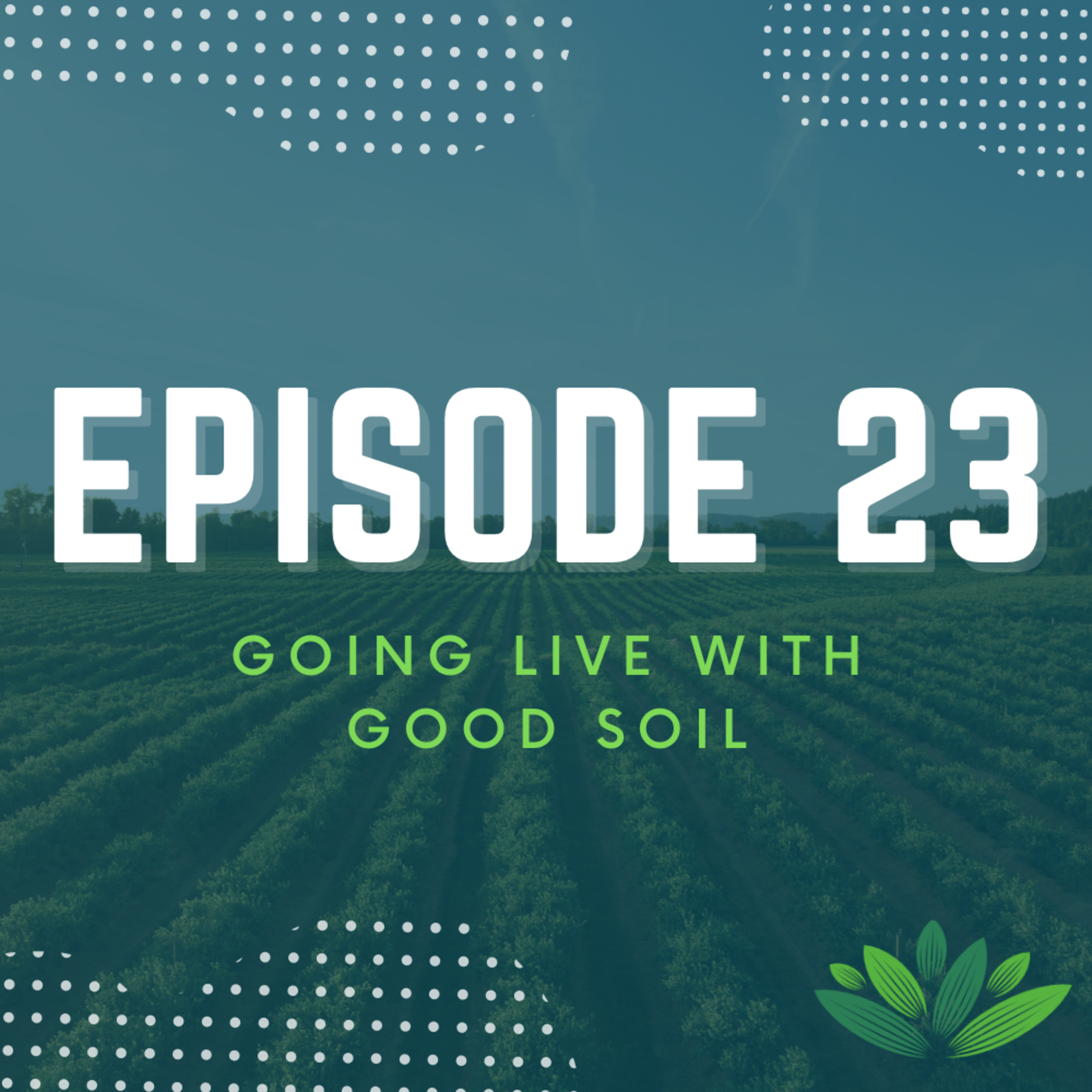 Going Live With Good Soil