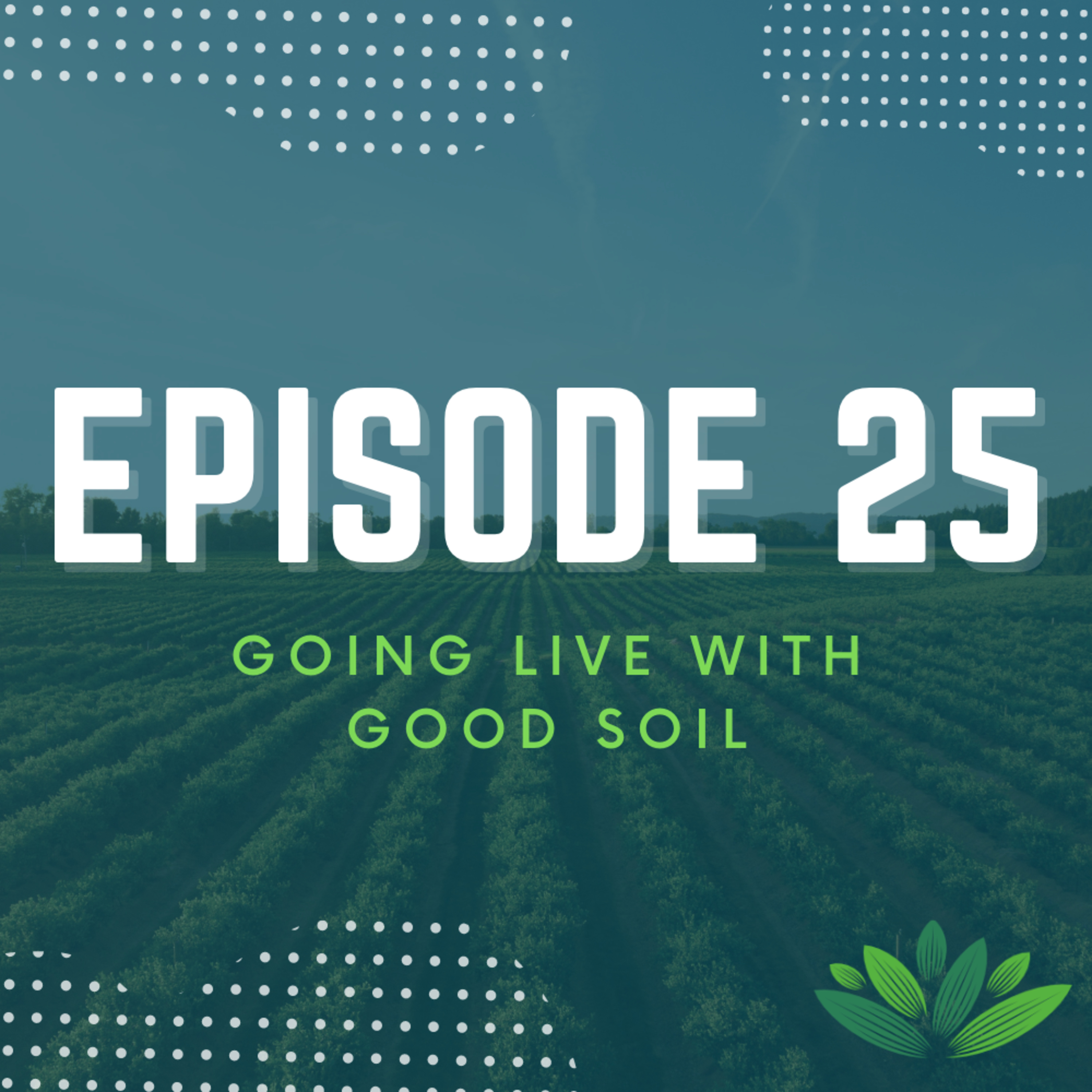 Going Live With Good Soil