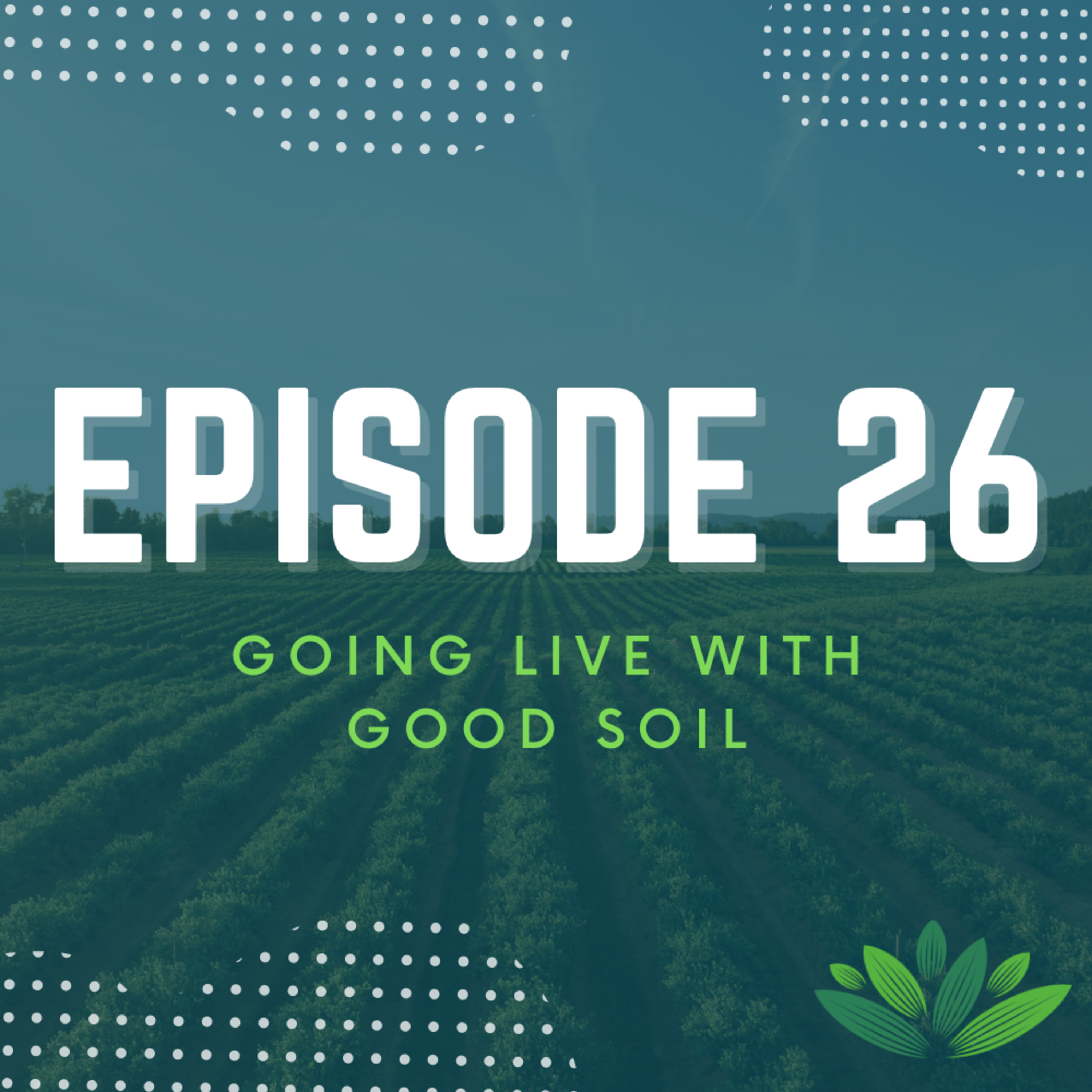 Going Live With Good Soil