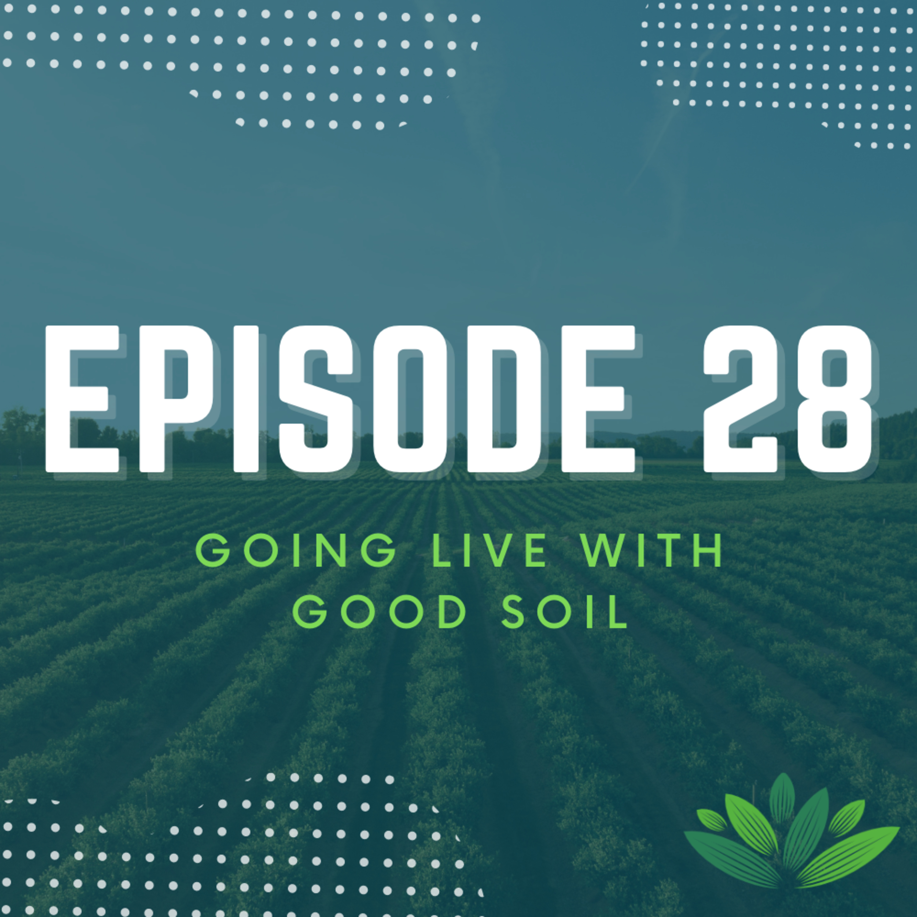 Going Live With Good Soil