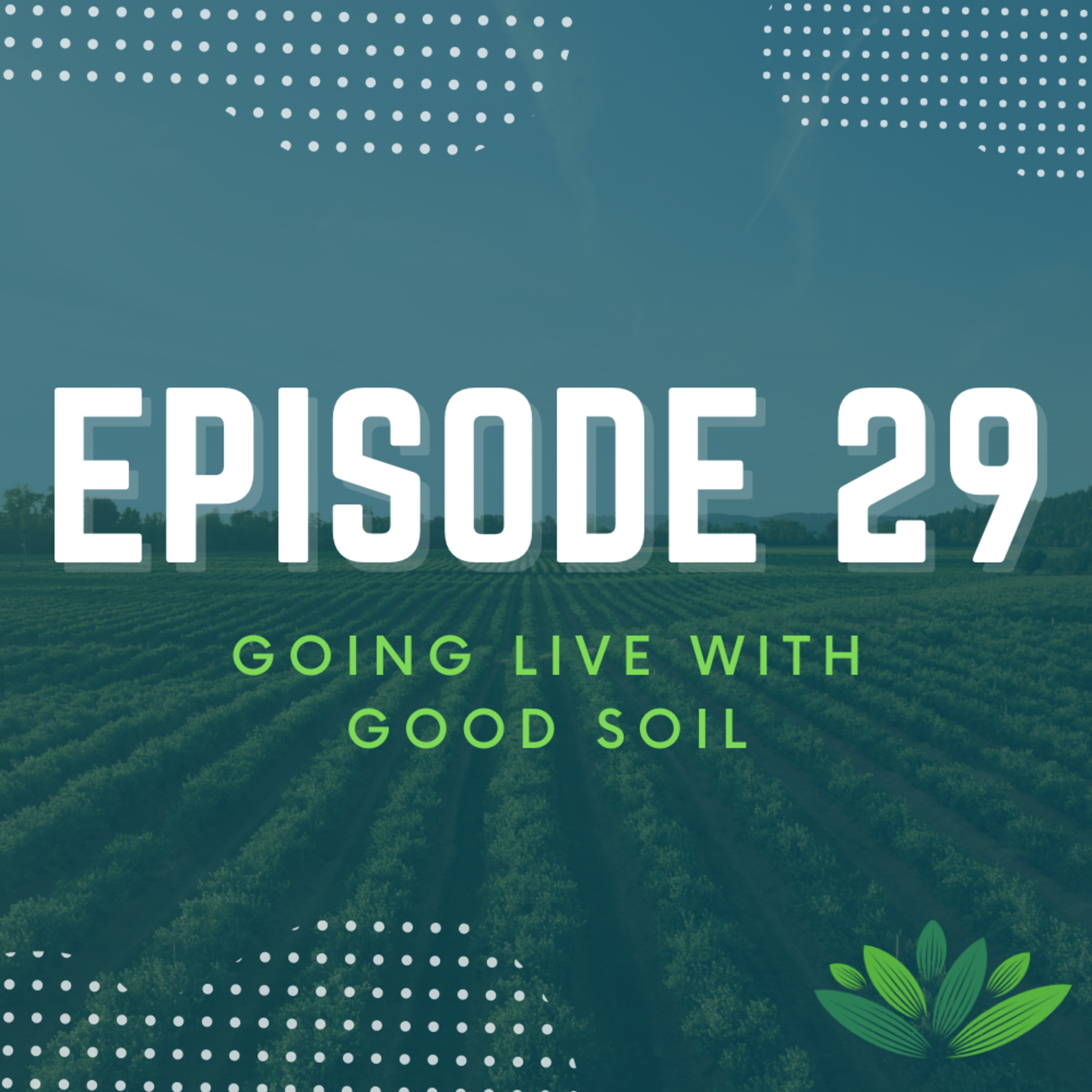 Going Live With Good Soil