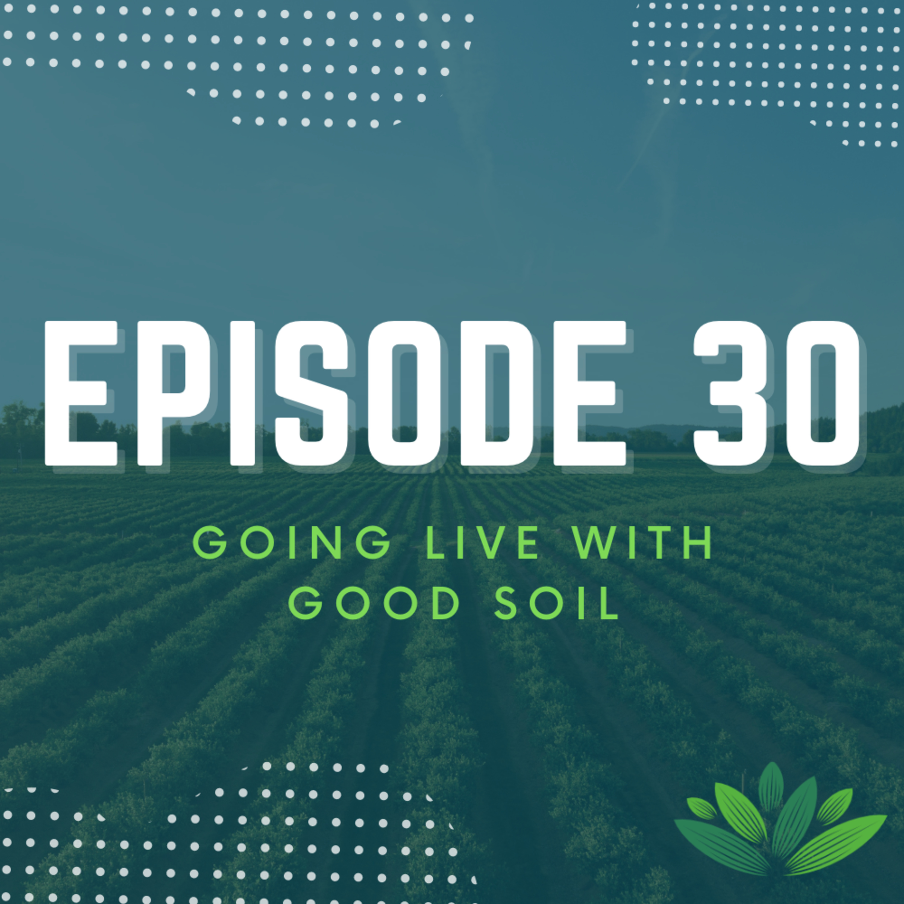 Going Live With Good Soil