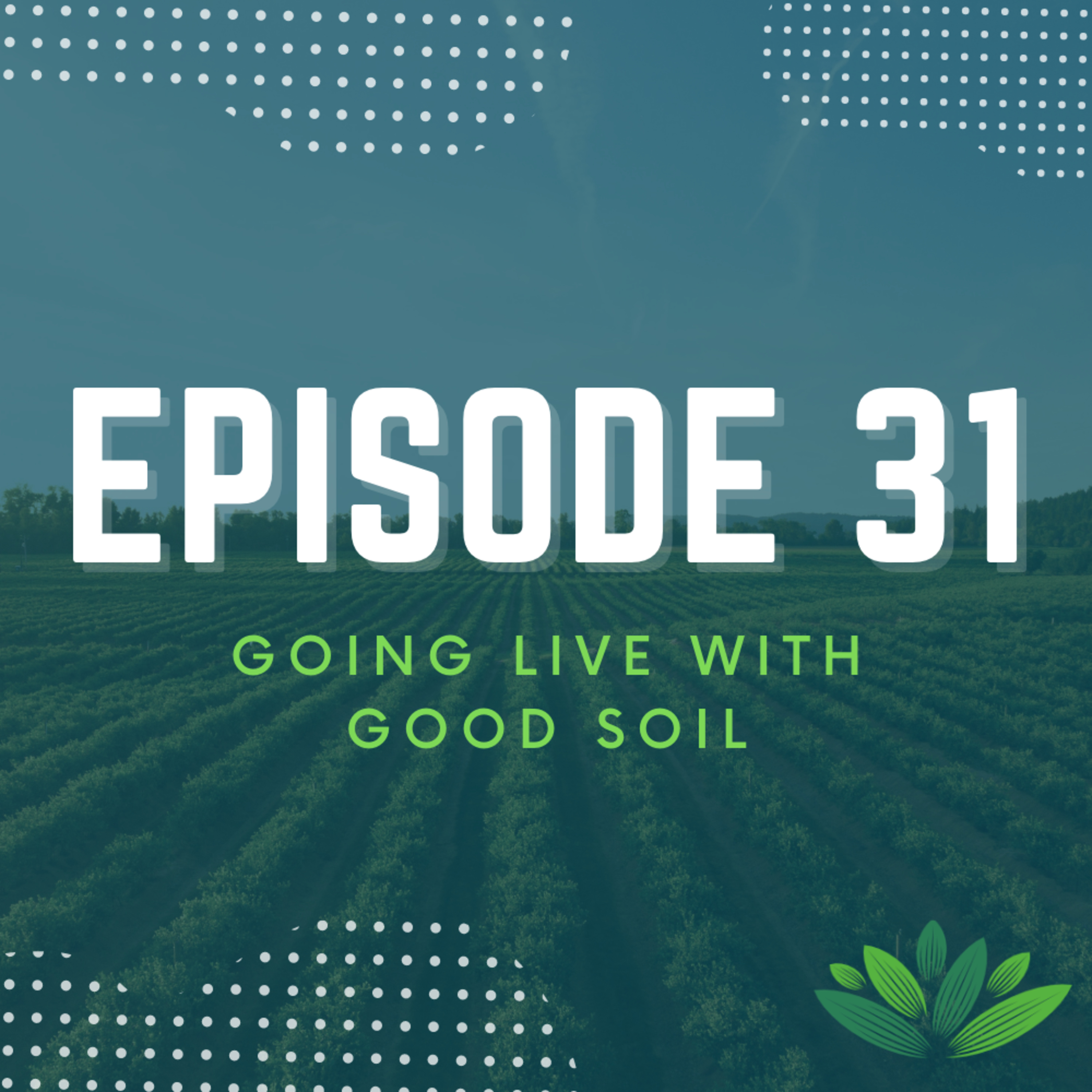 Going Live With Good Soil