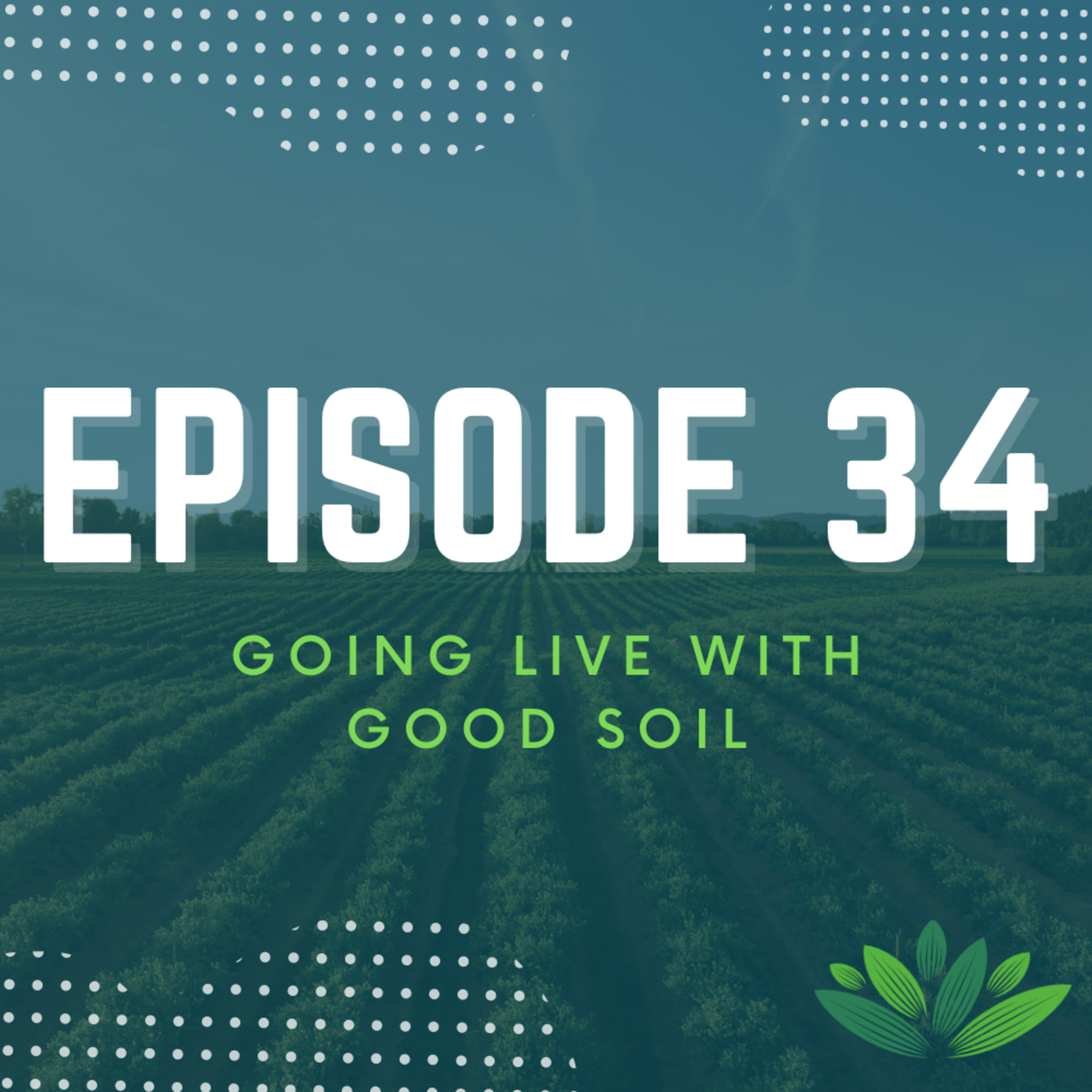 Going Live With Good Soil