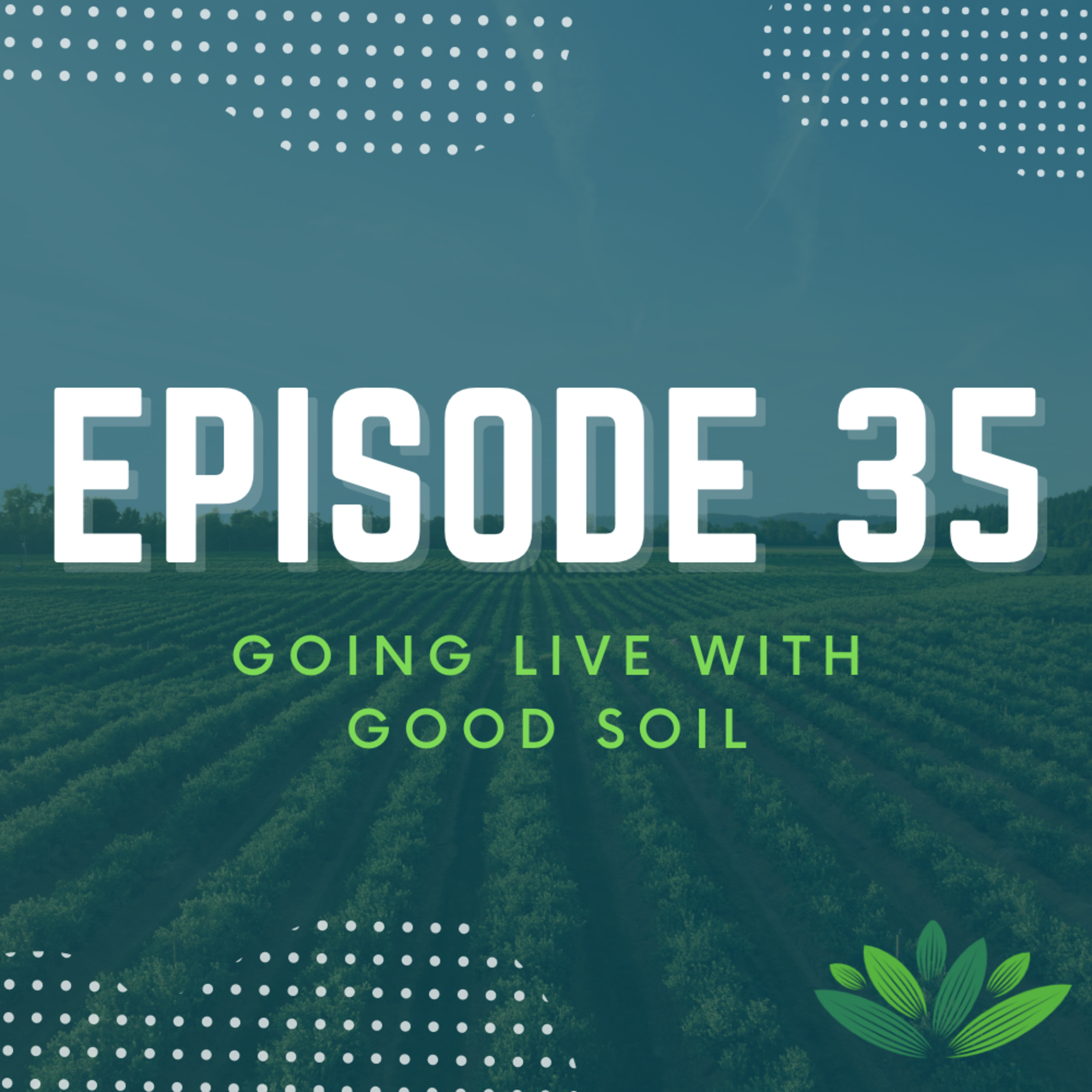 Going Live With Good Soil
