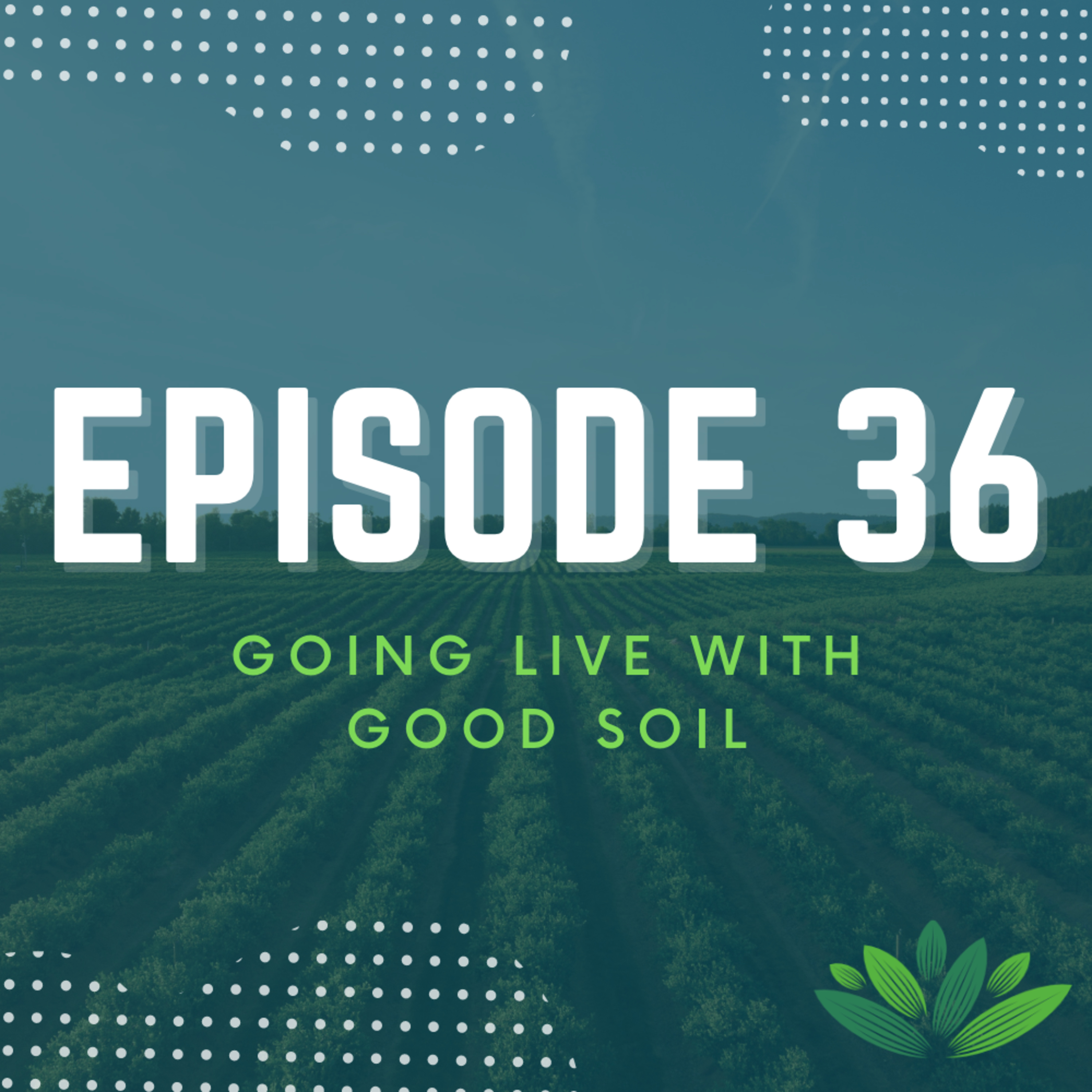 Going Live With Good Soil