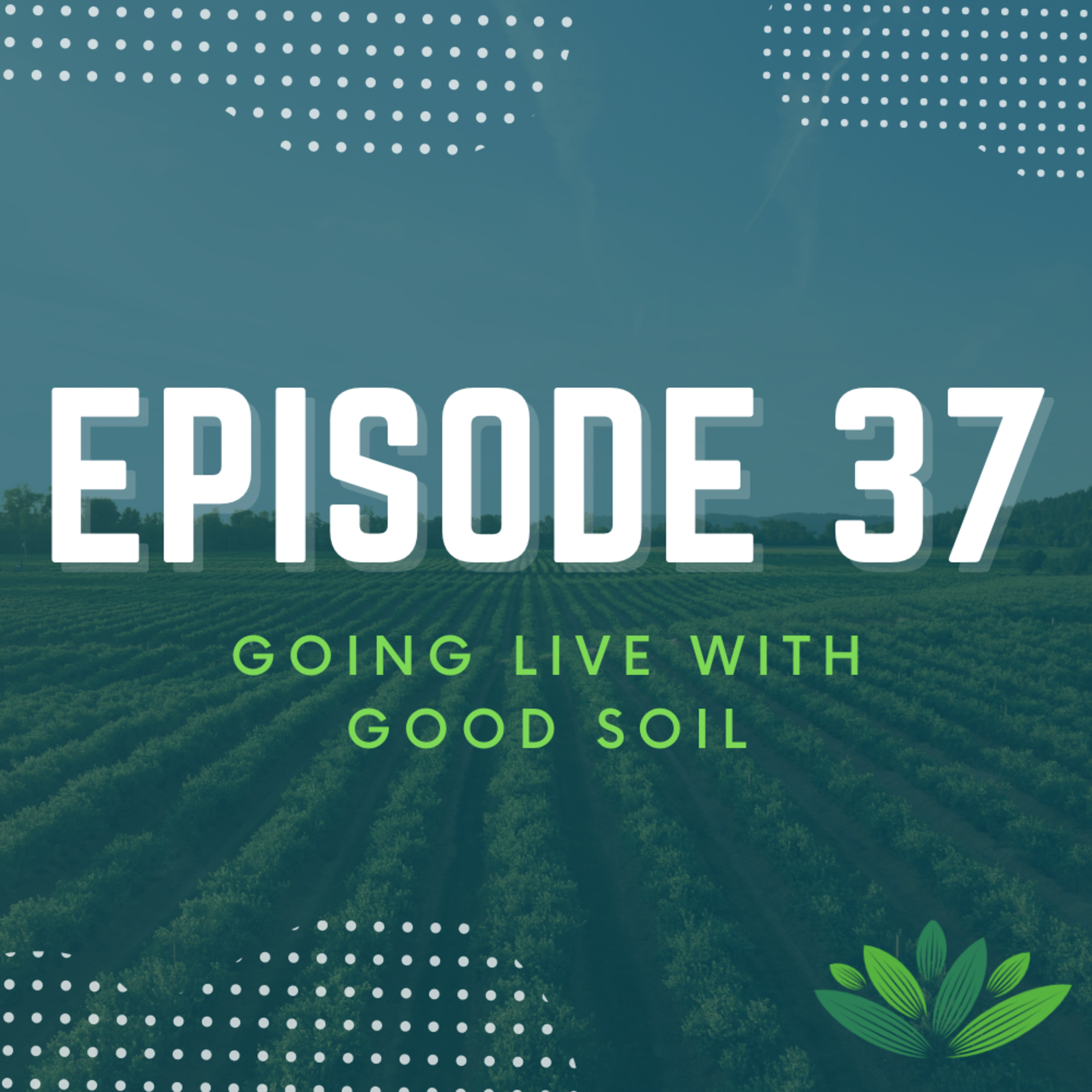 Going Live With Good Soil