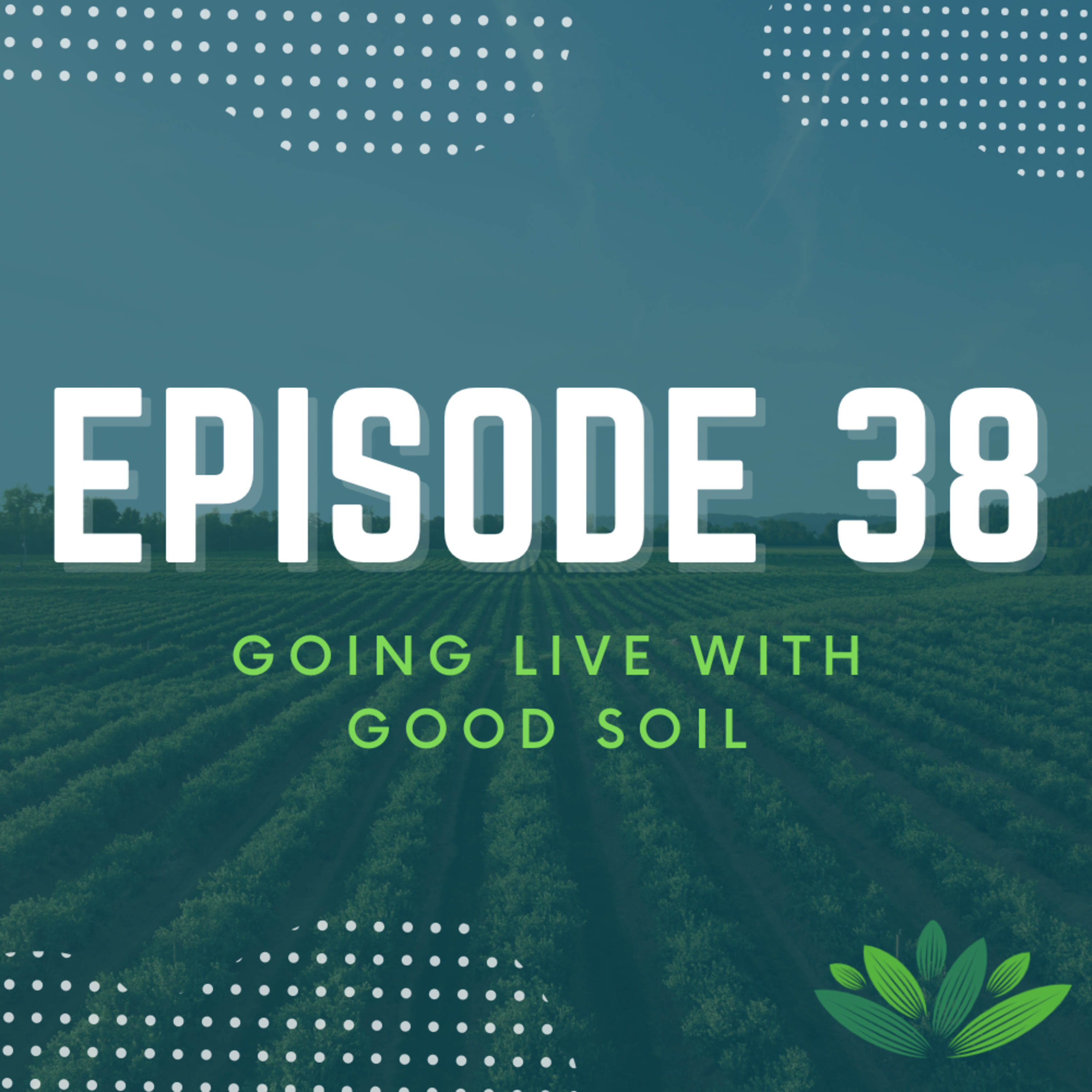 Going Live With Good Soil