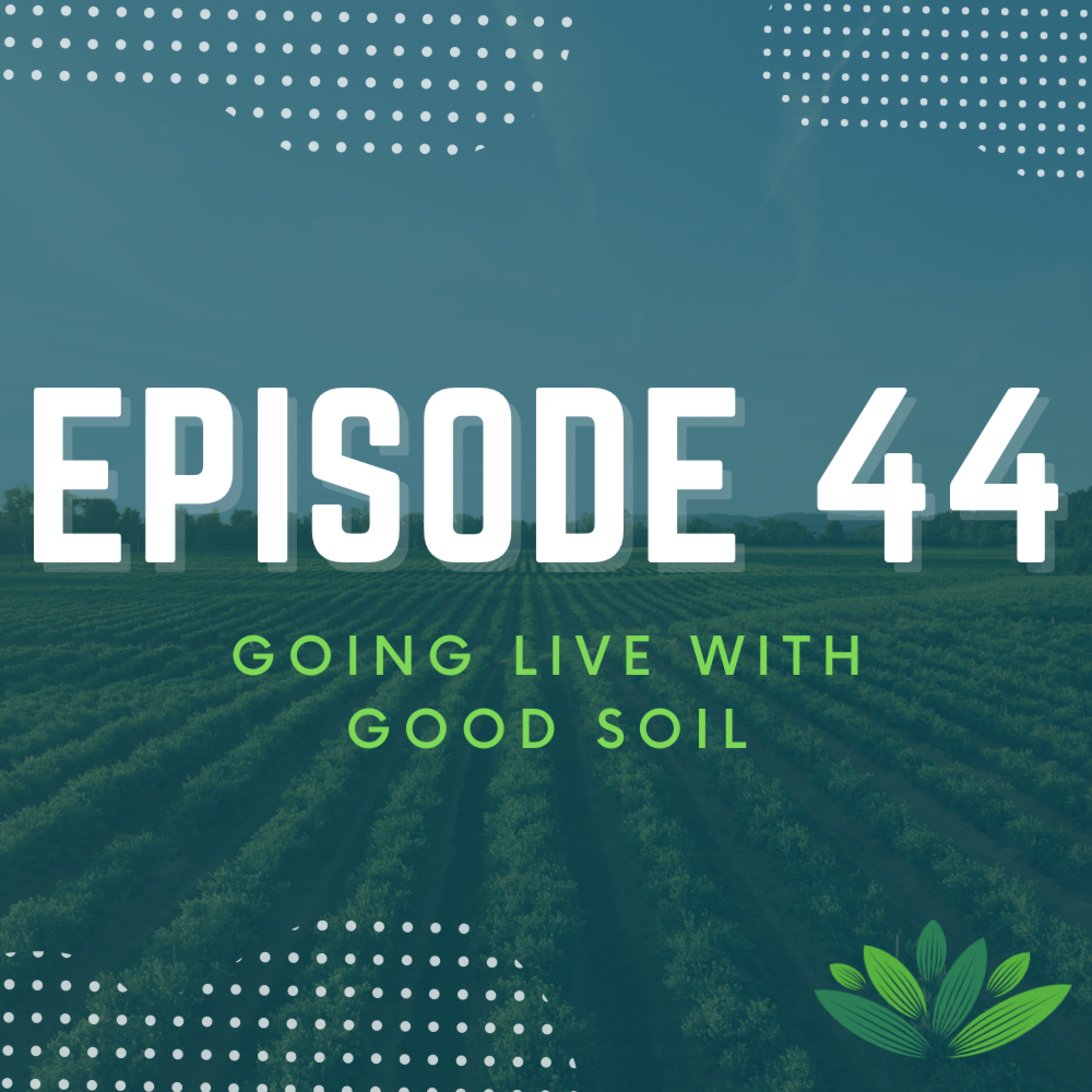 Going Live With Good Soil