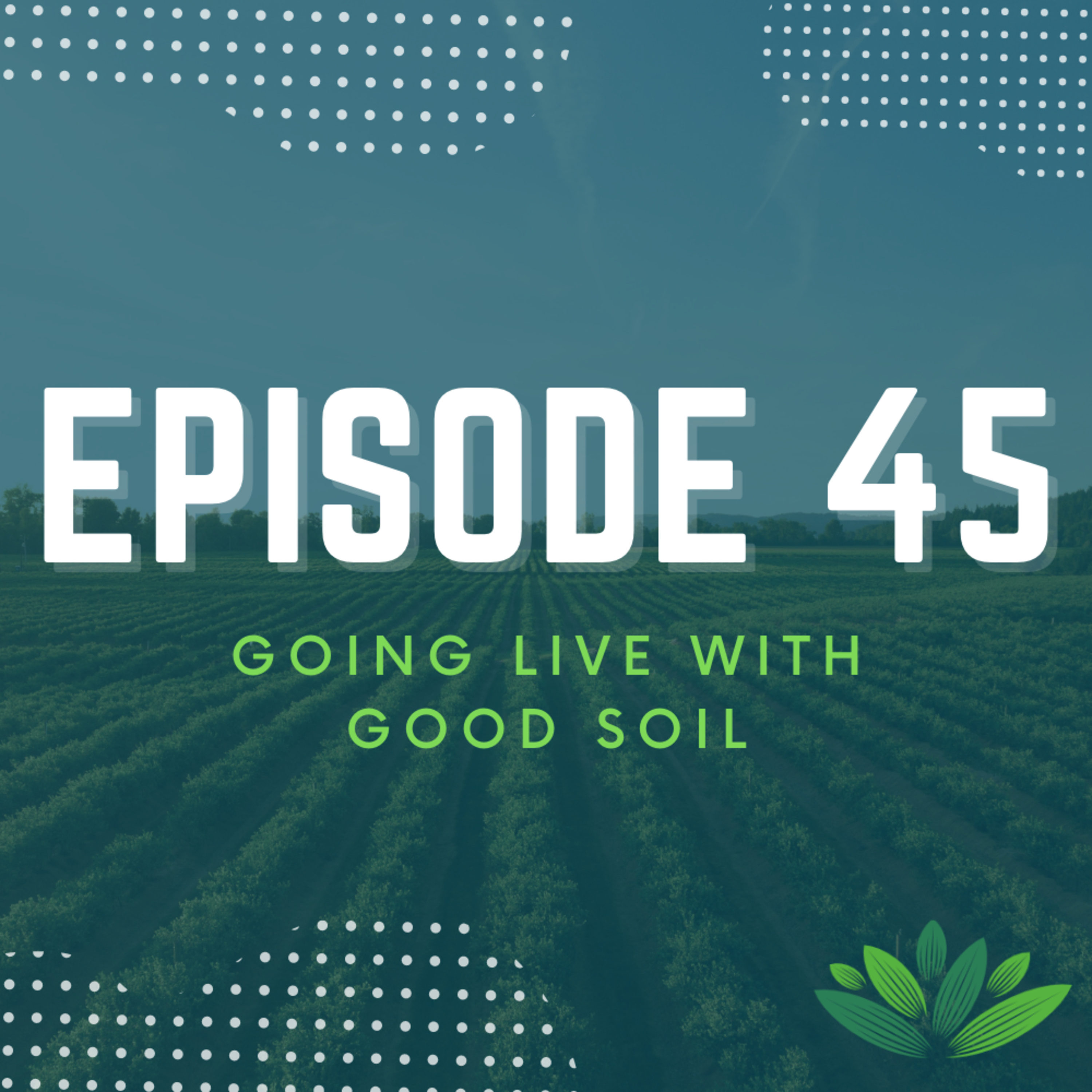 Going Live With Good Soil
