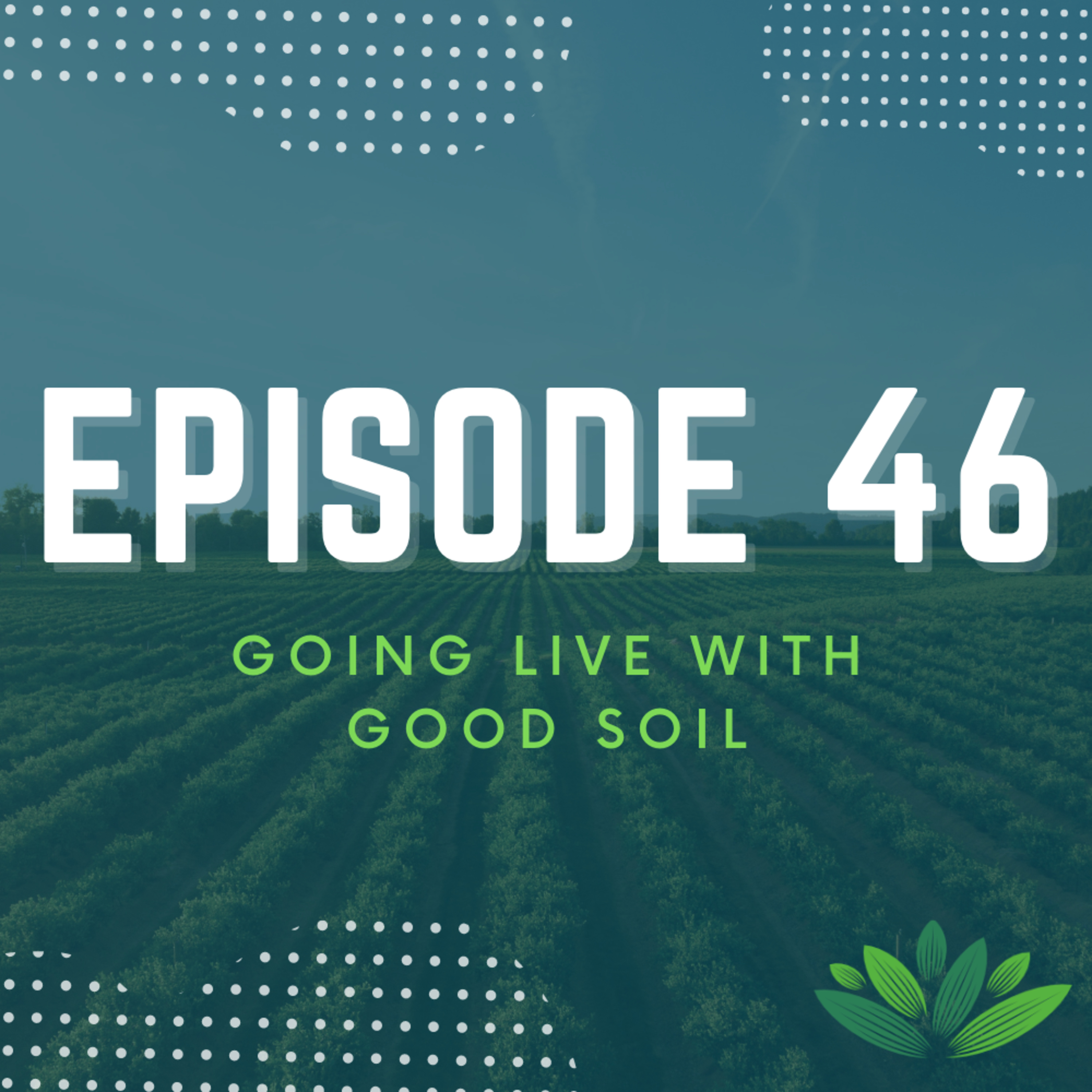 Going Live With Good Soil