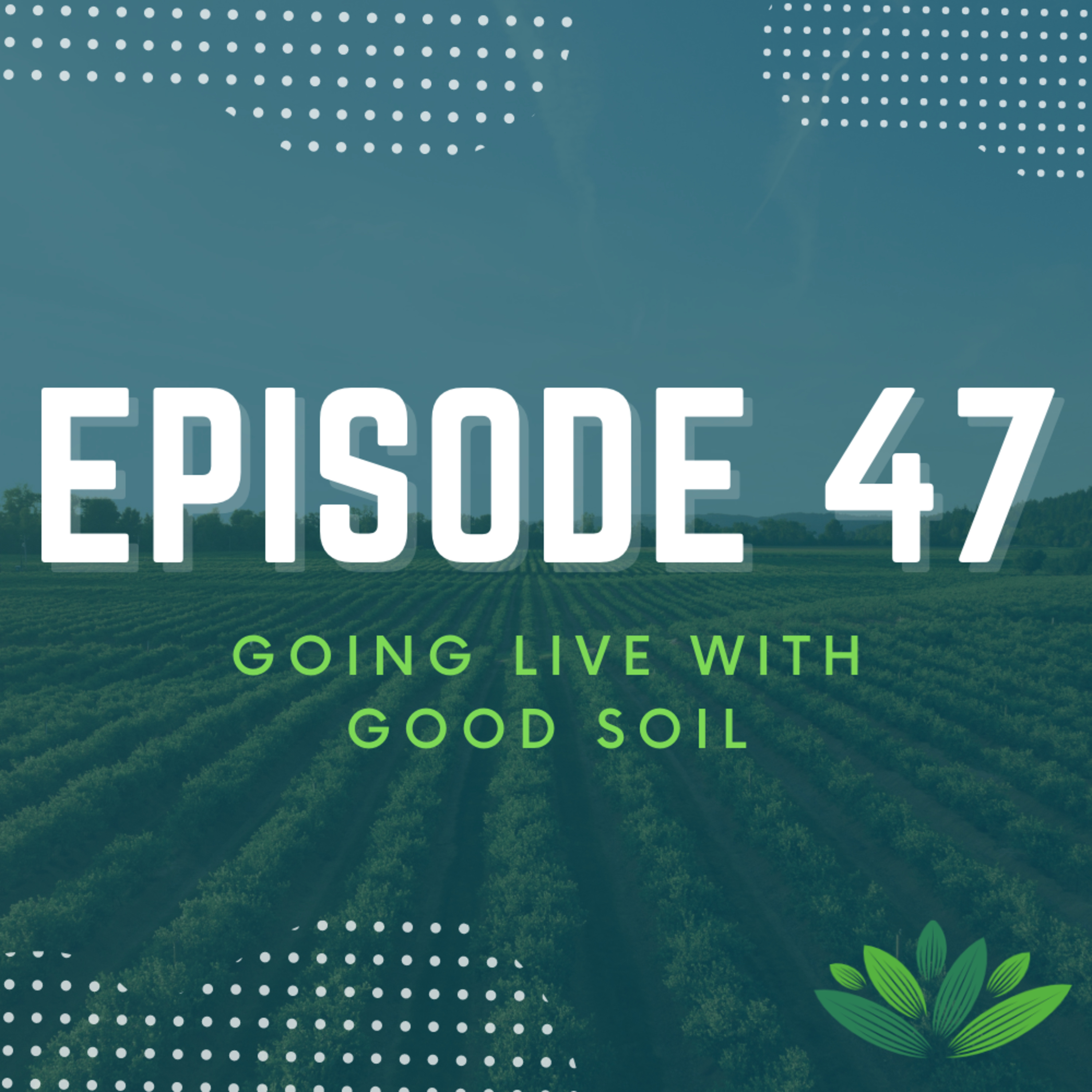 Going Live With Good Soil