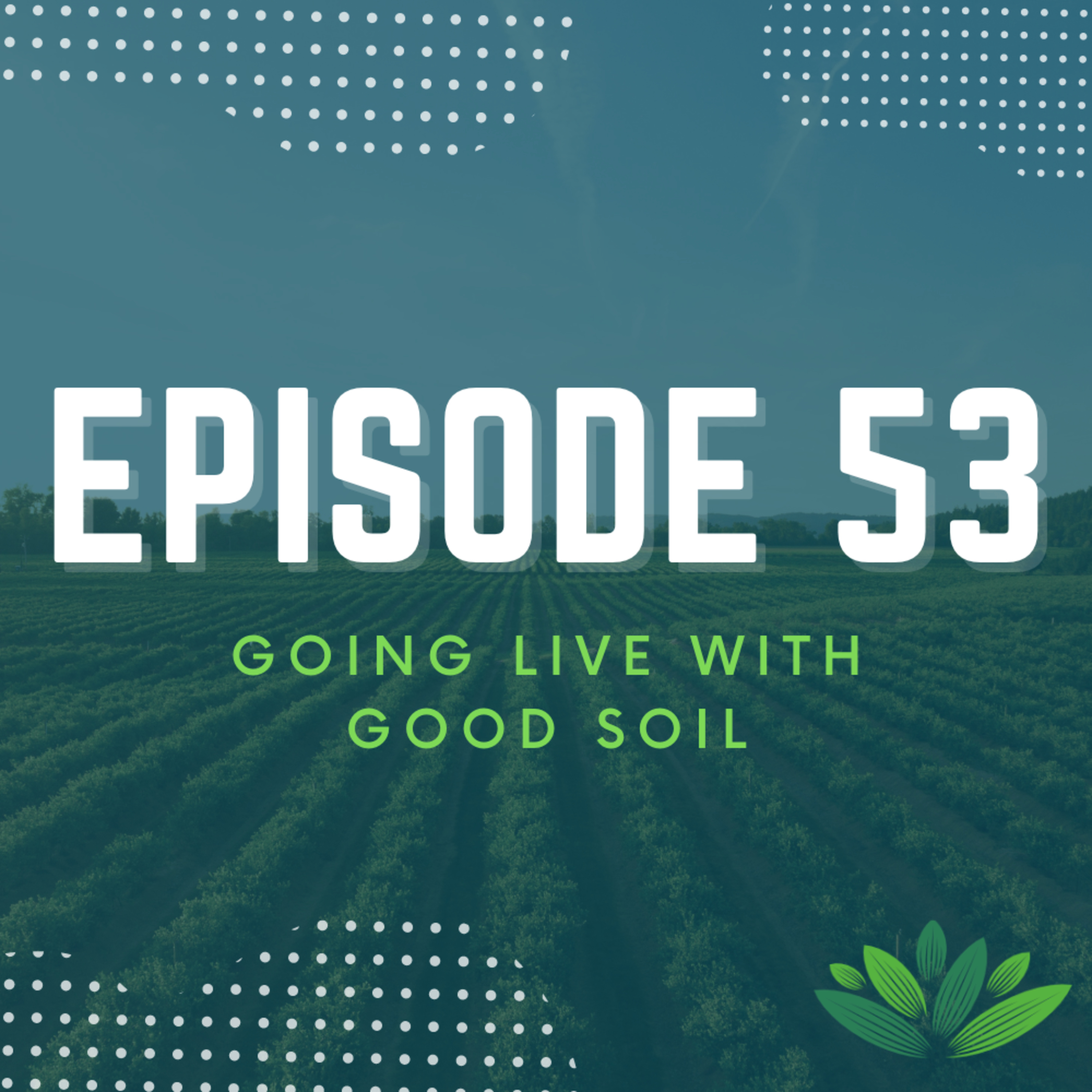 Going Live With Good Soil