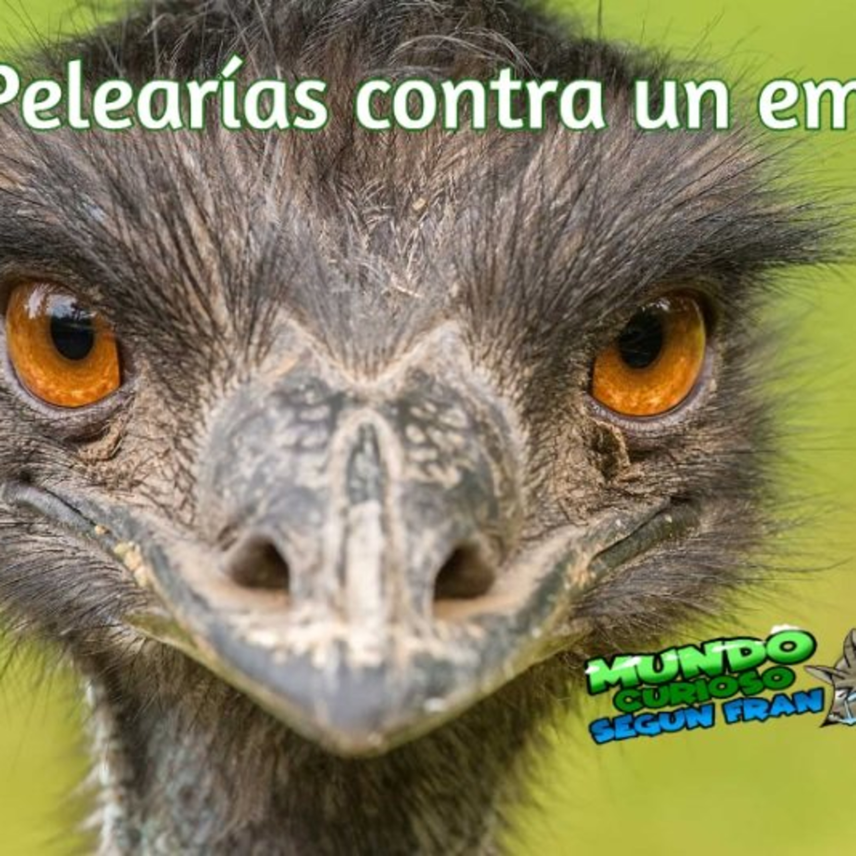 Mundo Curioso según Fran