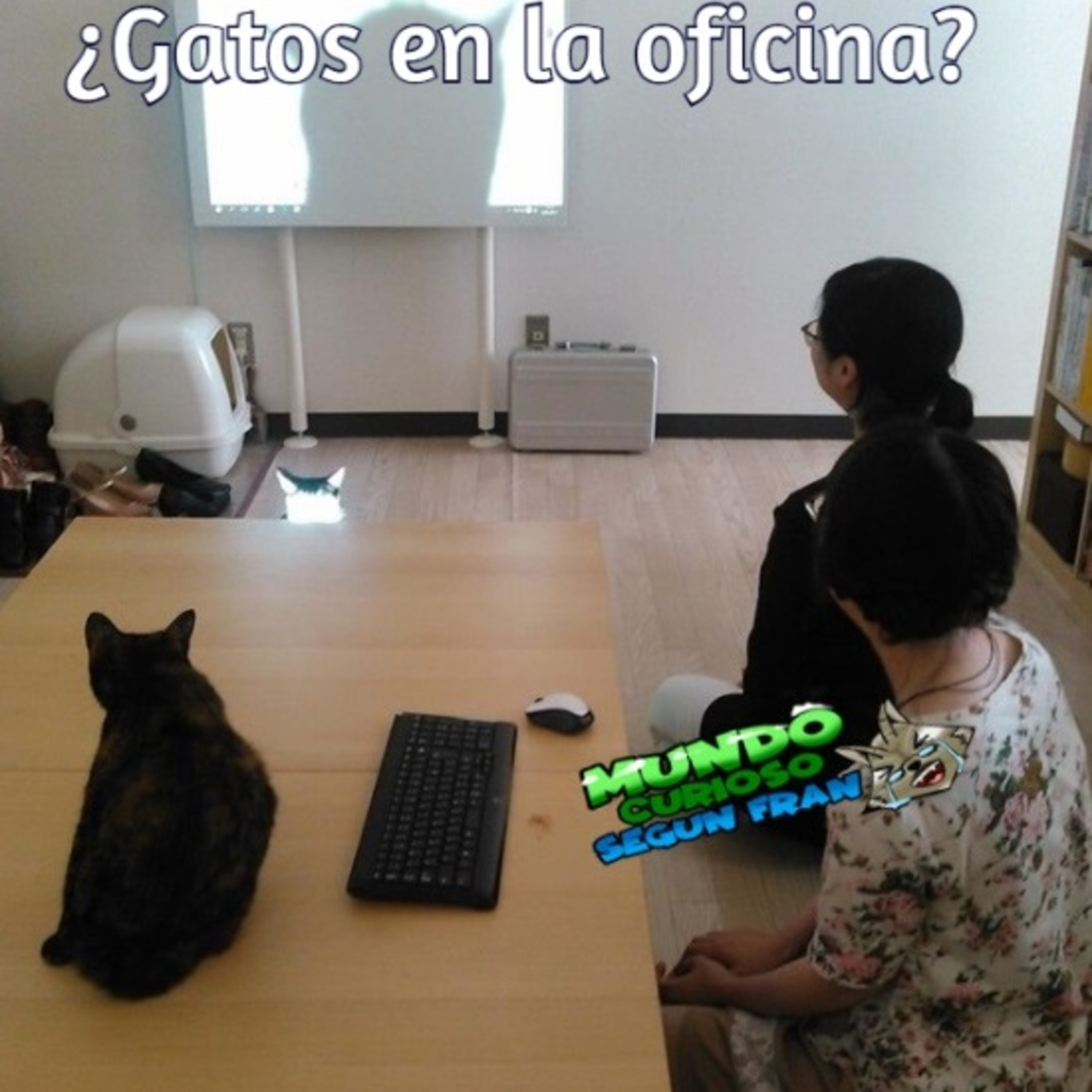 Mundo Curioso según Fran