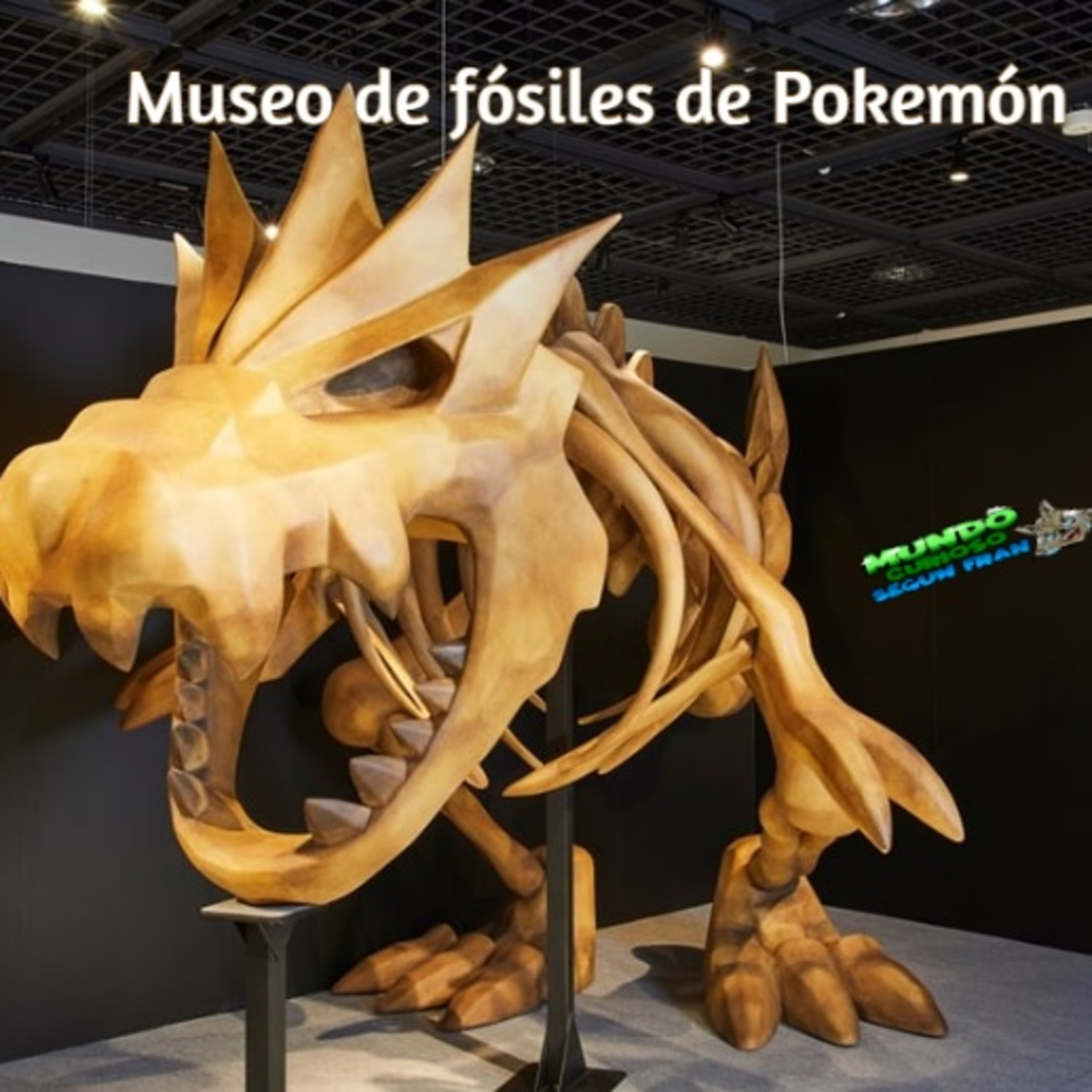 Mundo Curioso según Fran