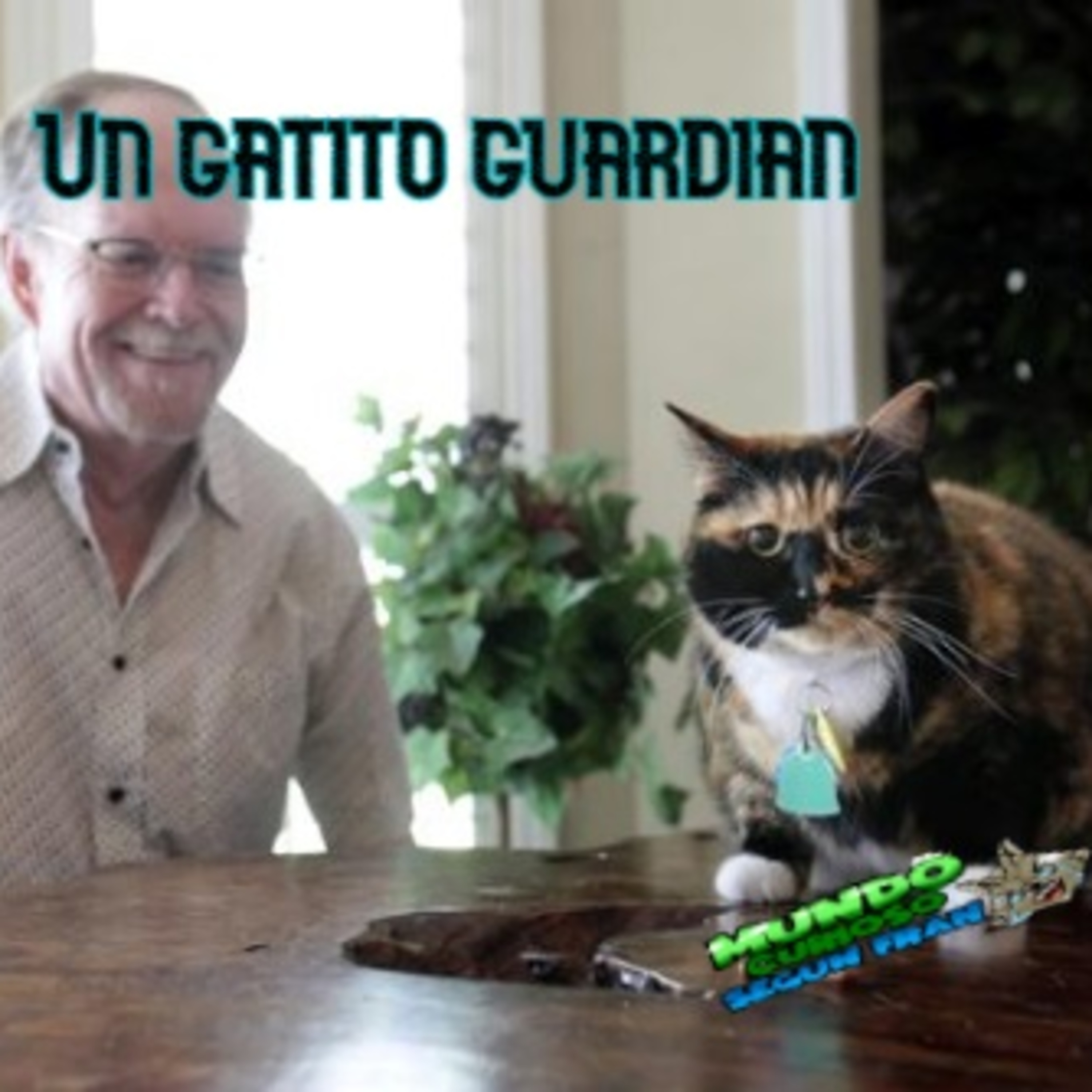 Mundo Curioso según Fran