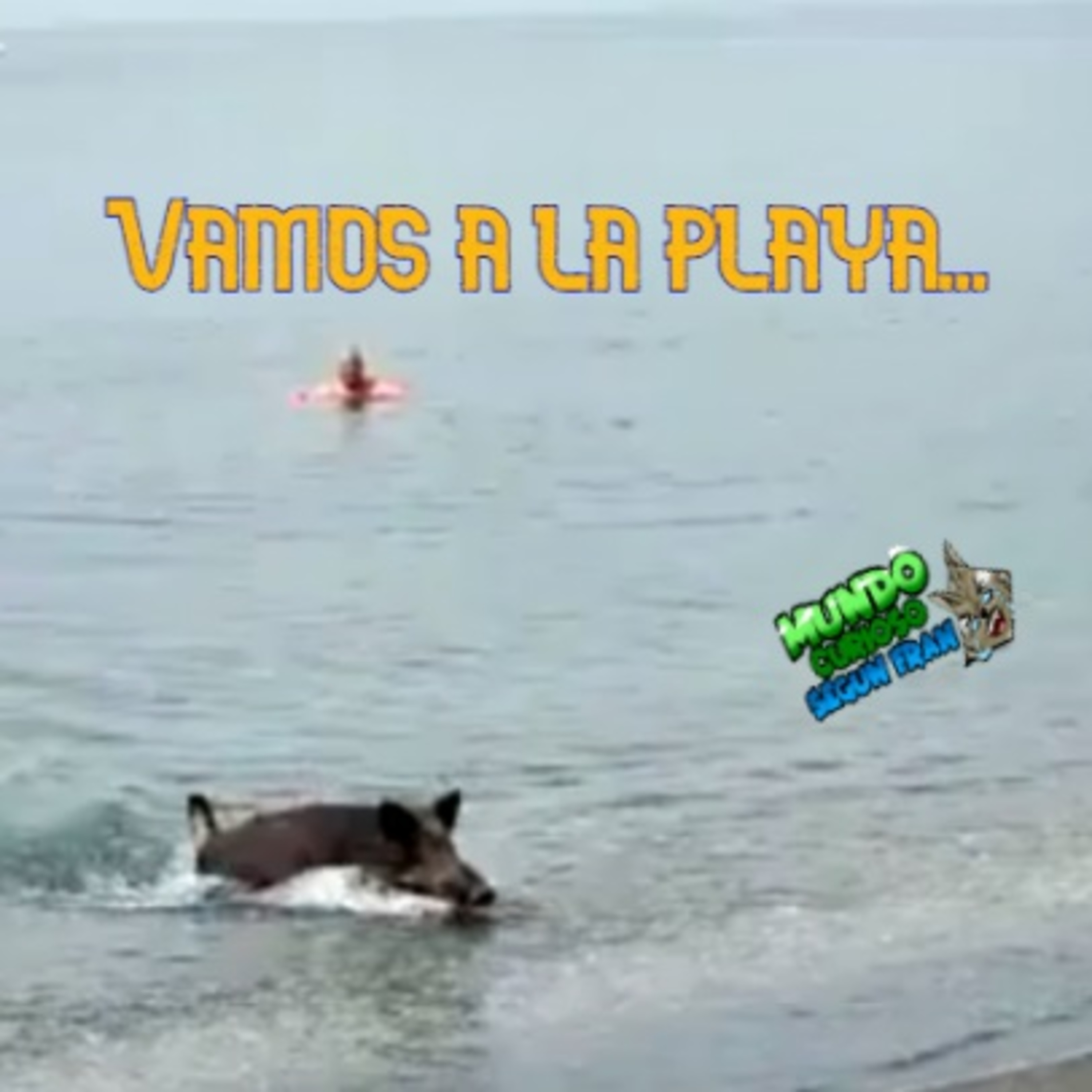 Mundo Curioso según Fran