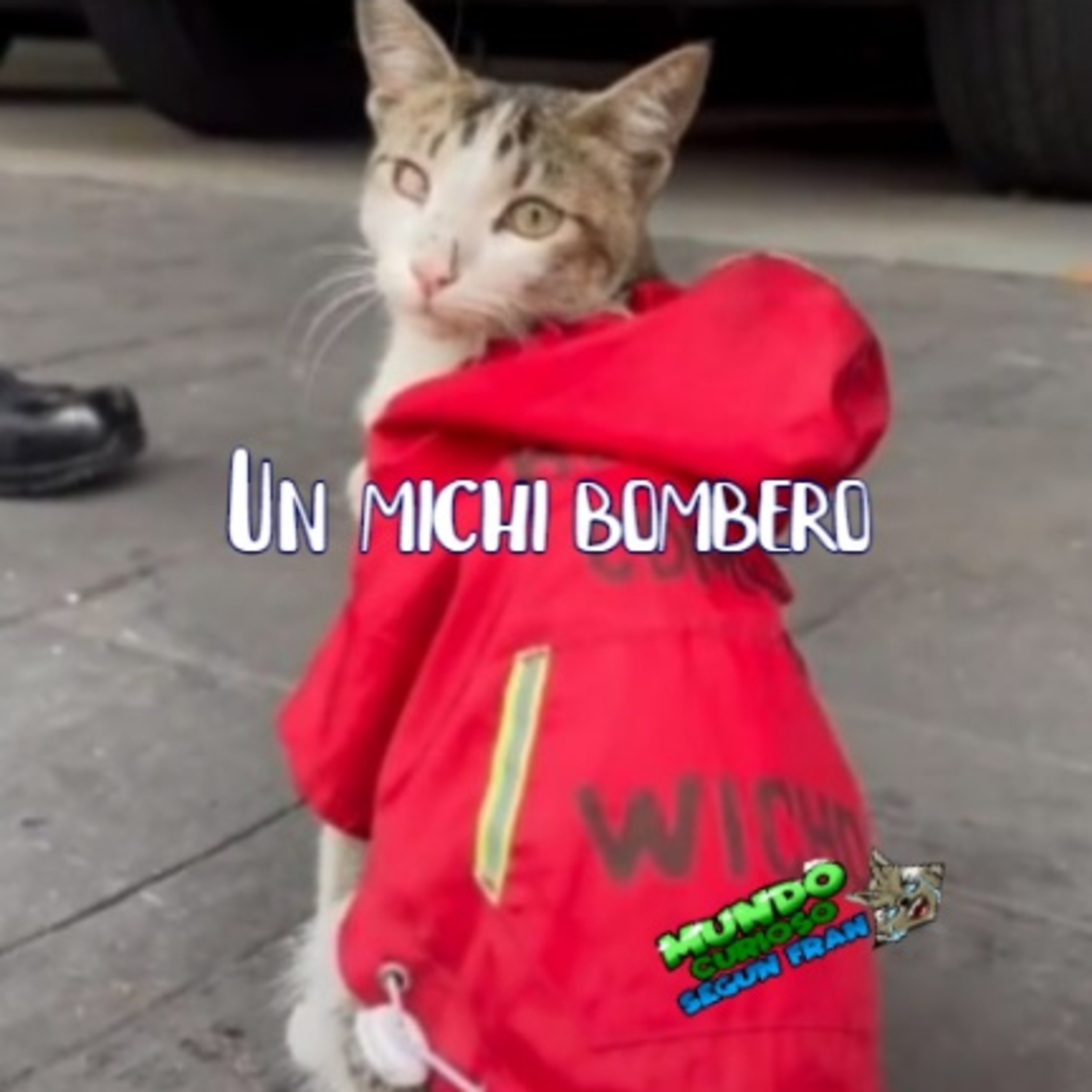 Mundo Curioso según Fran