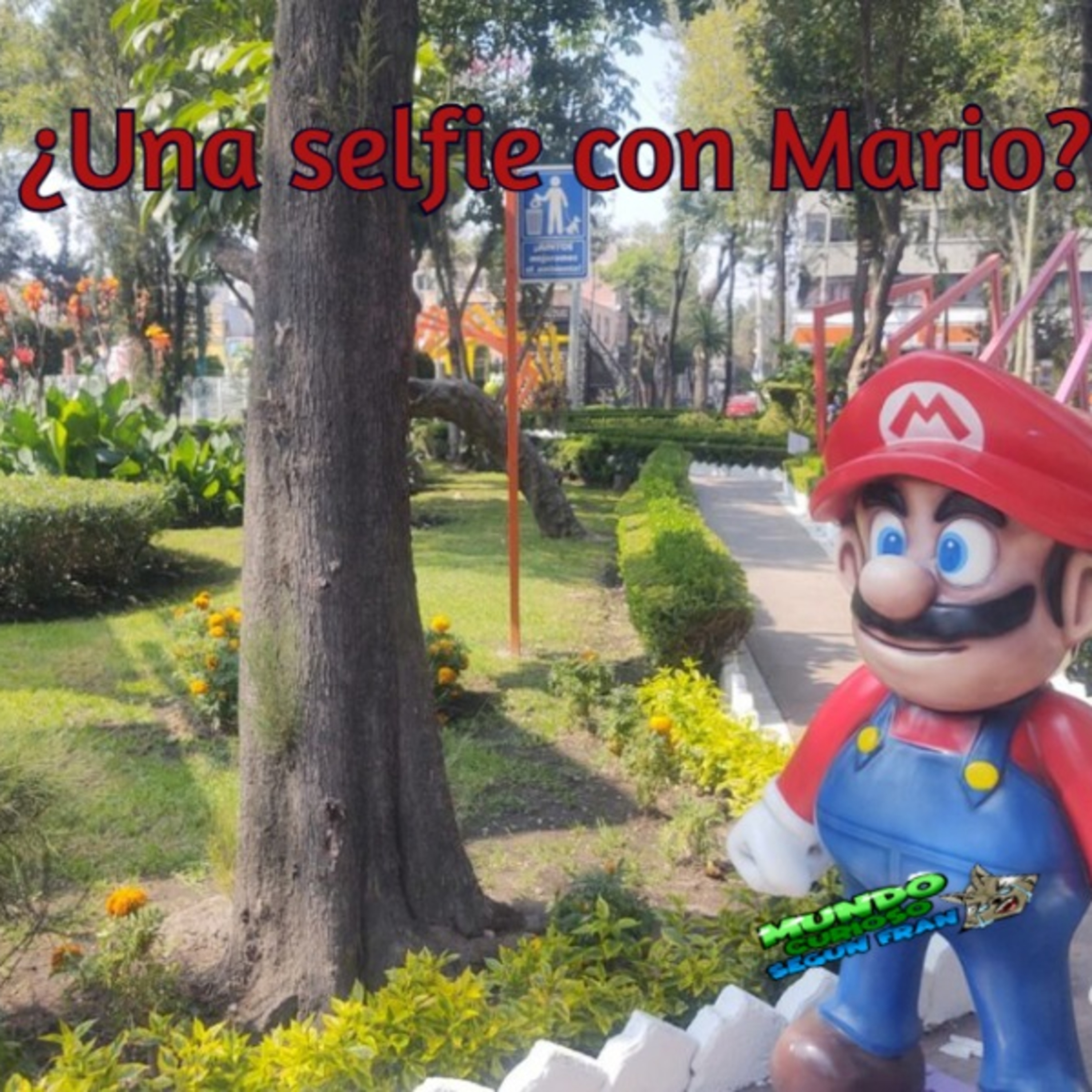 Mundo Curioso según Fran
