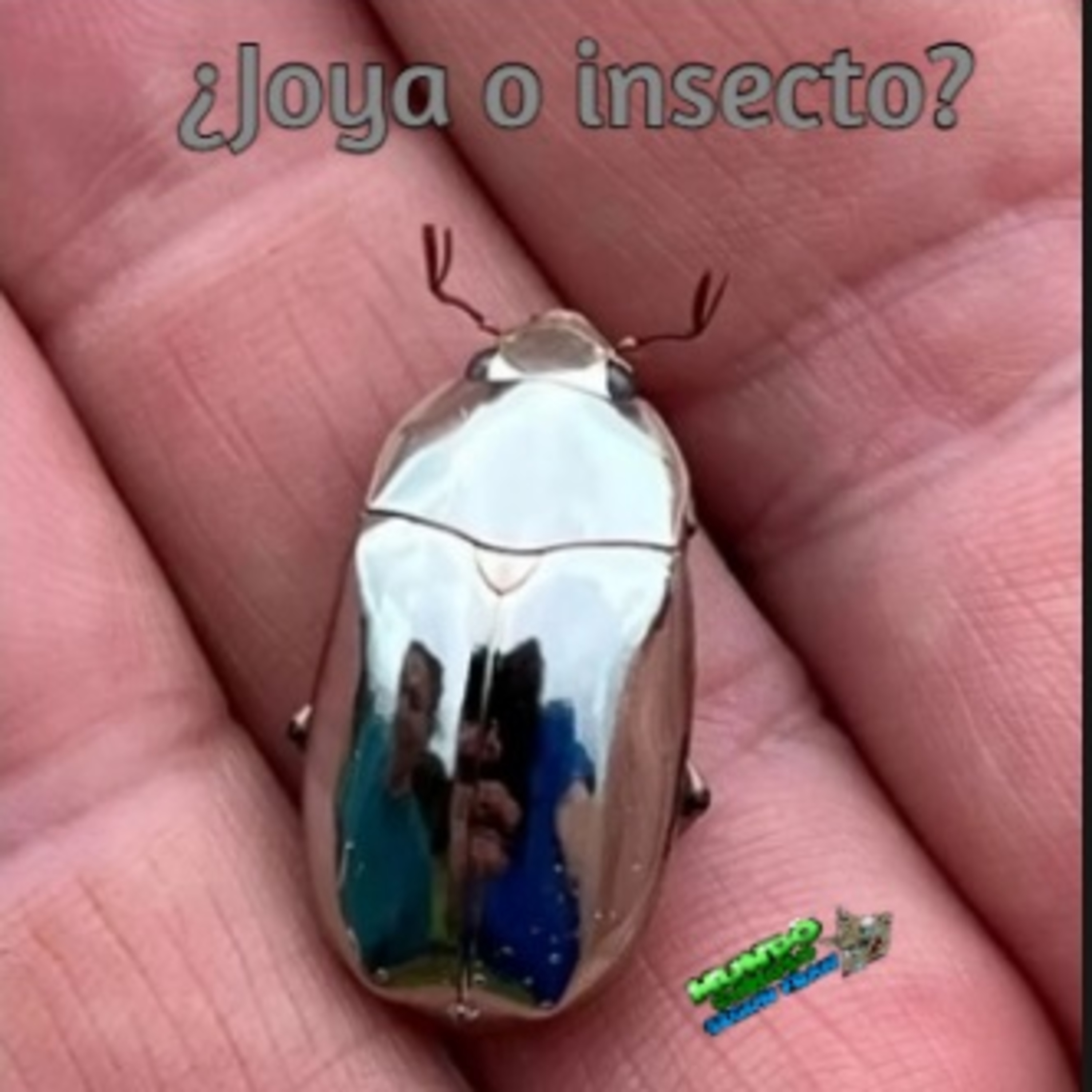 Mundo Curioso según Fran