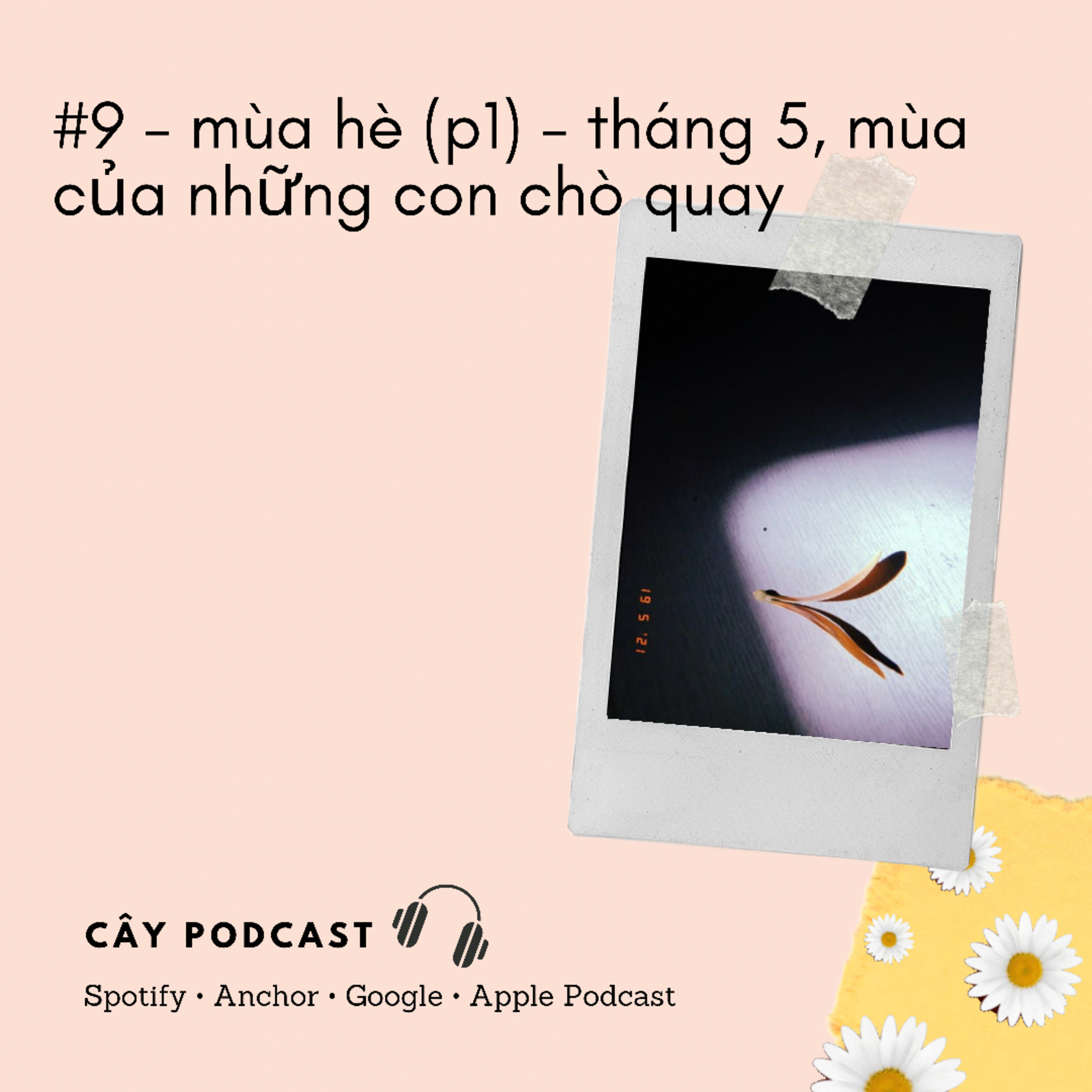 Cây Podcast
