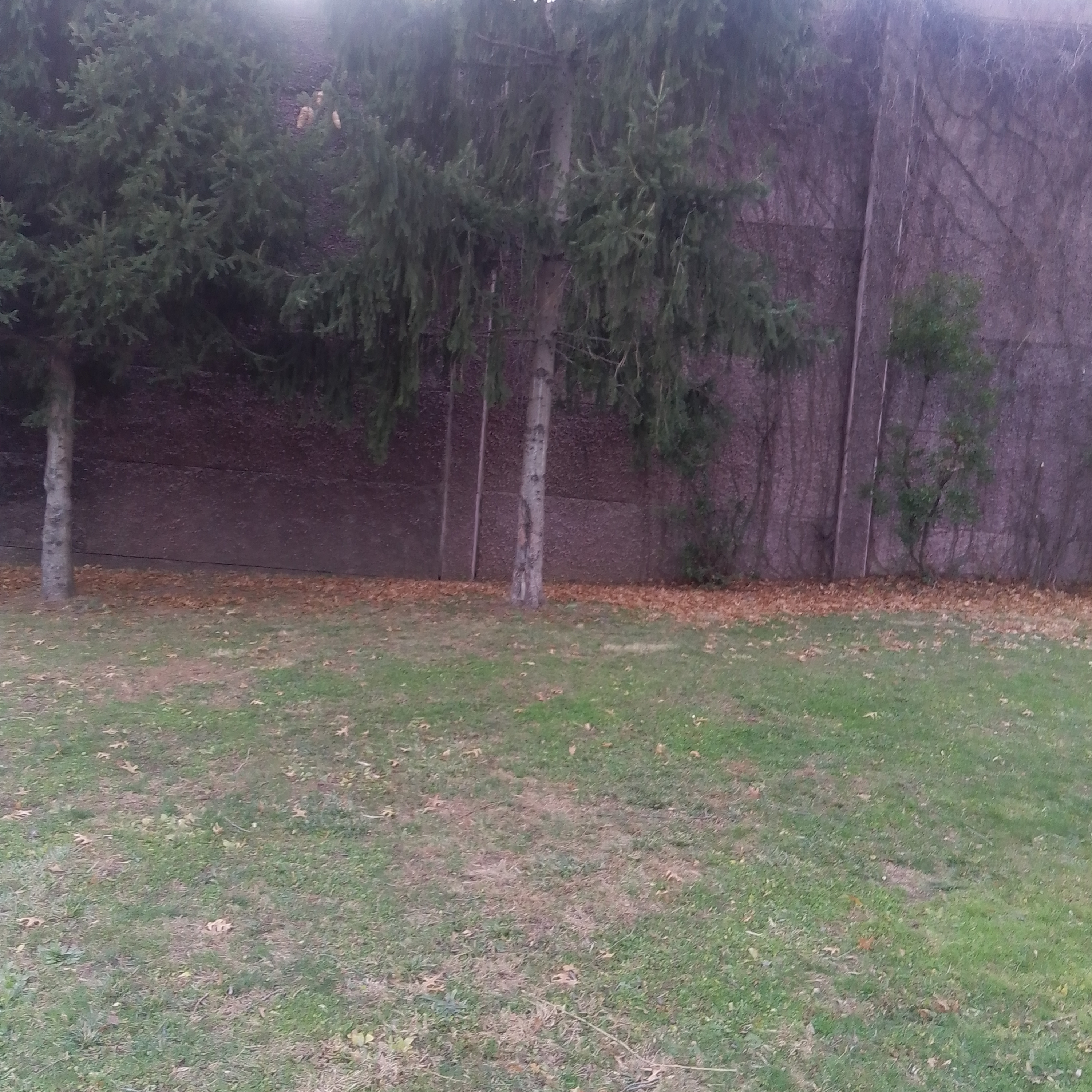 One Drunk Ho Podcast