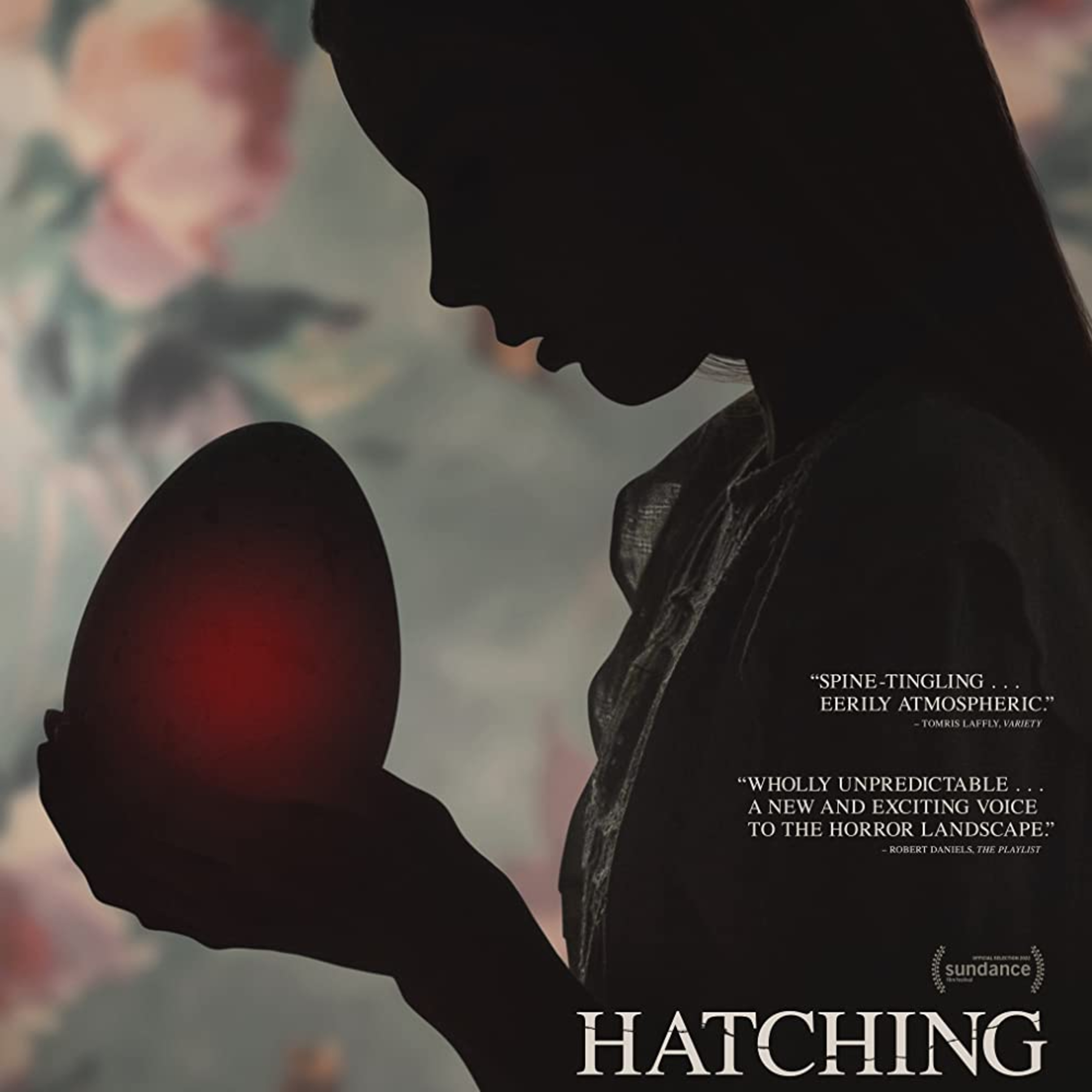 Hatching episode artwork