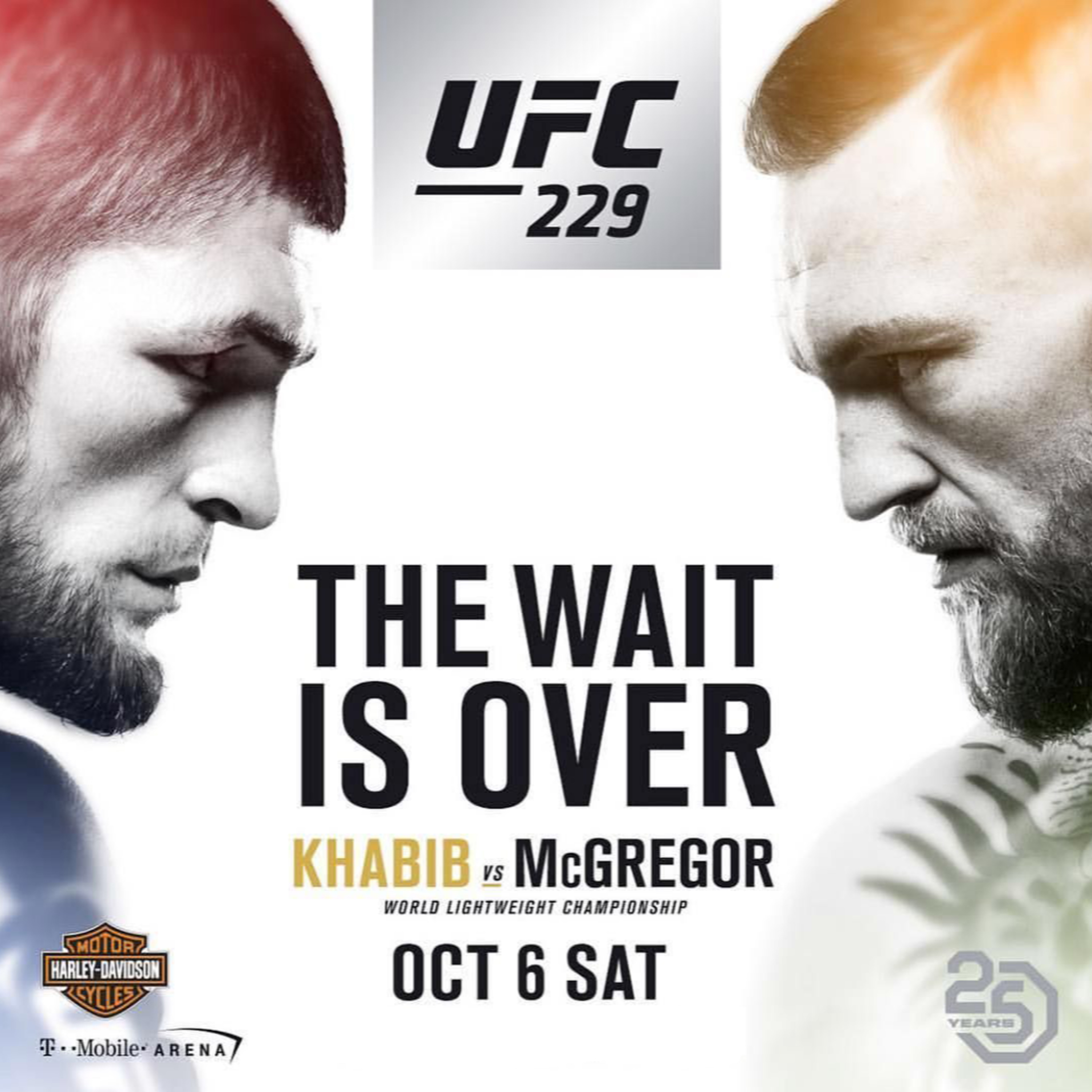 Episode 4 - UFC 229 Review episode artwork