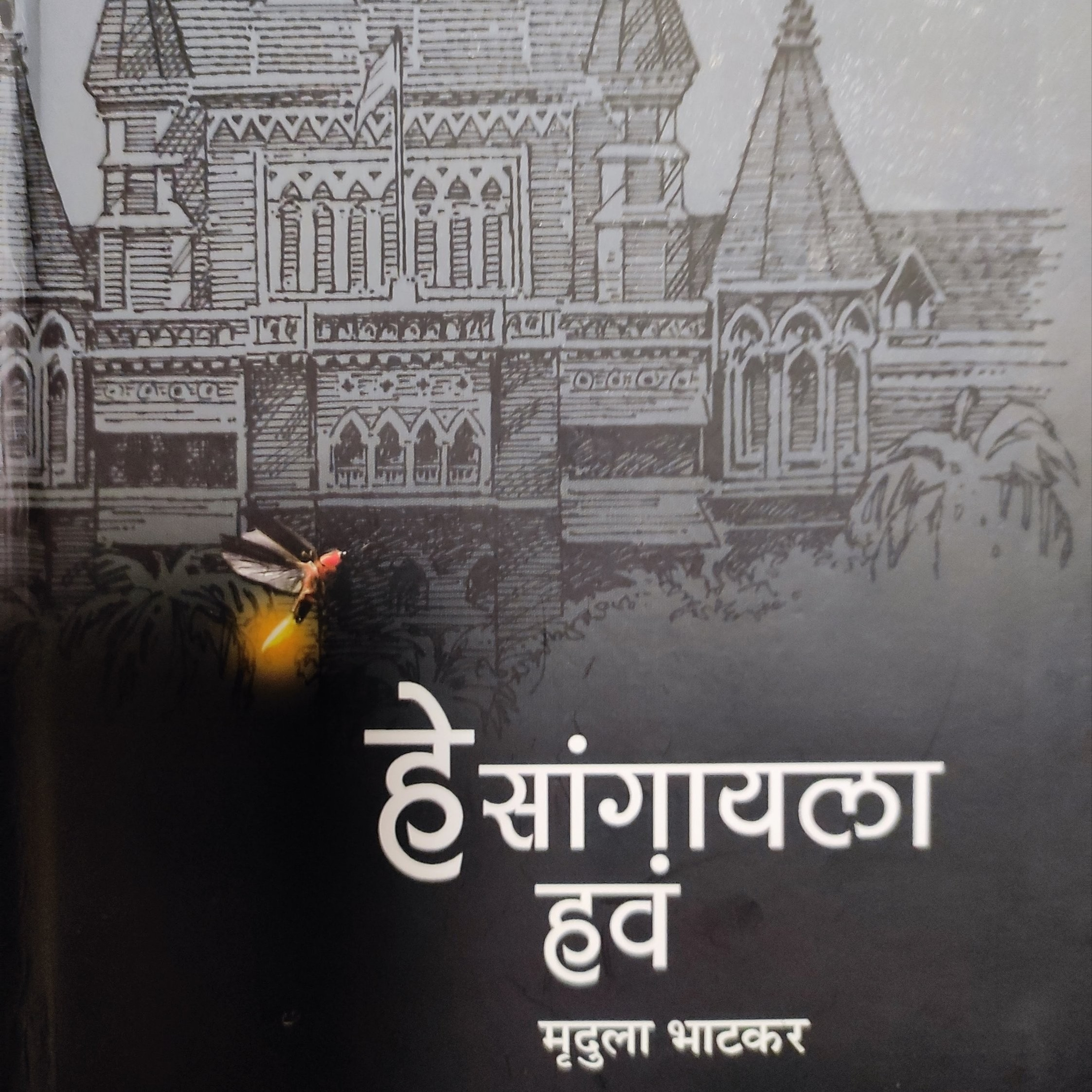 मी पुस्तक प्रेमी