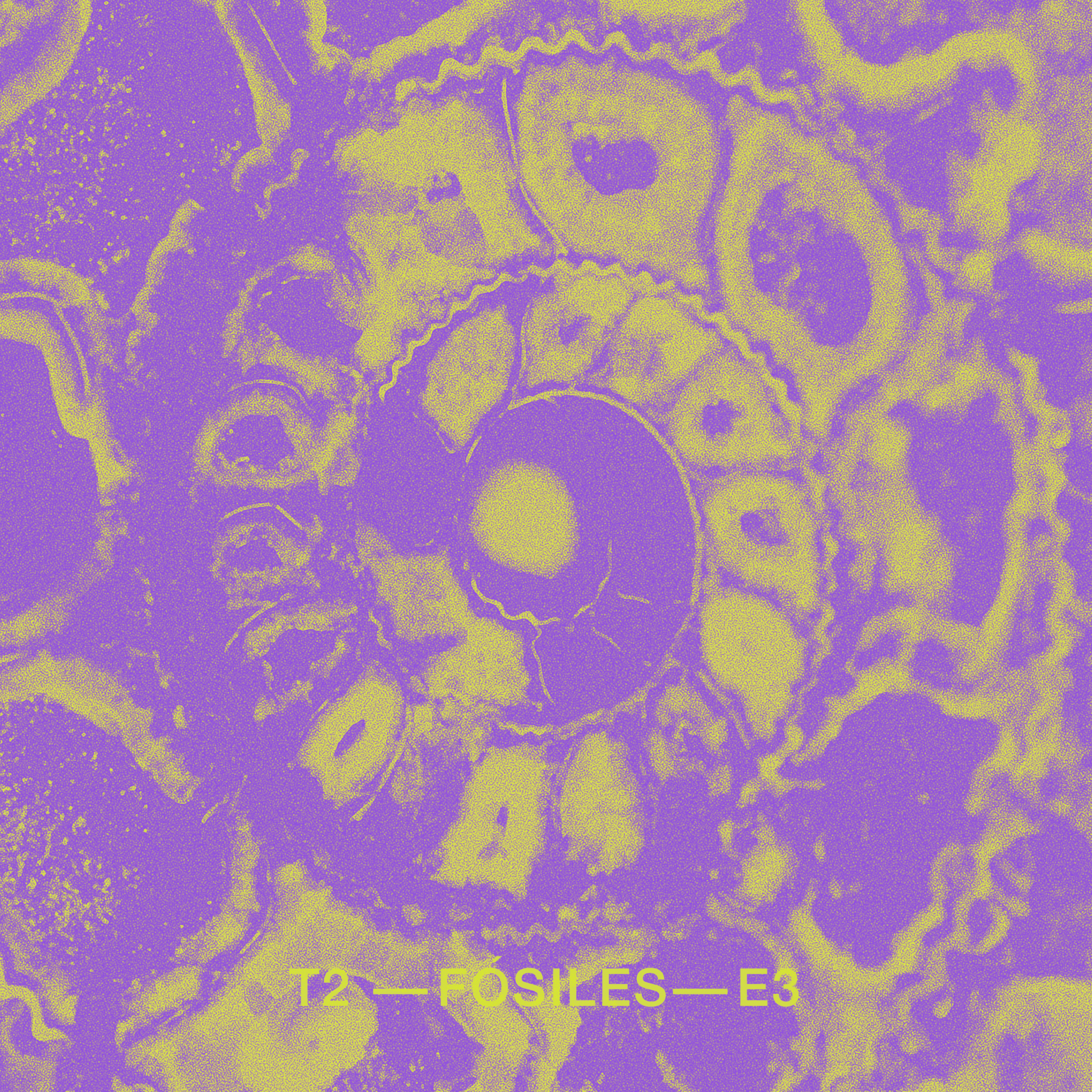 Simbiosis