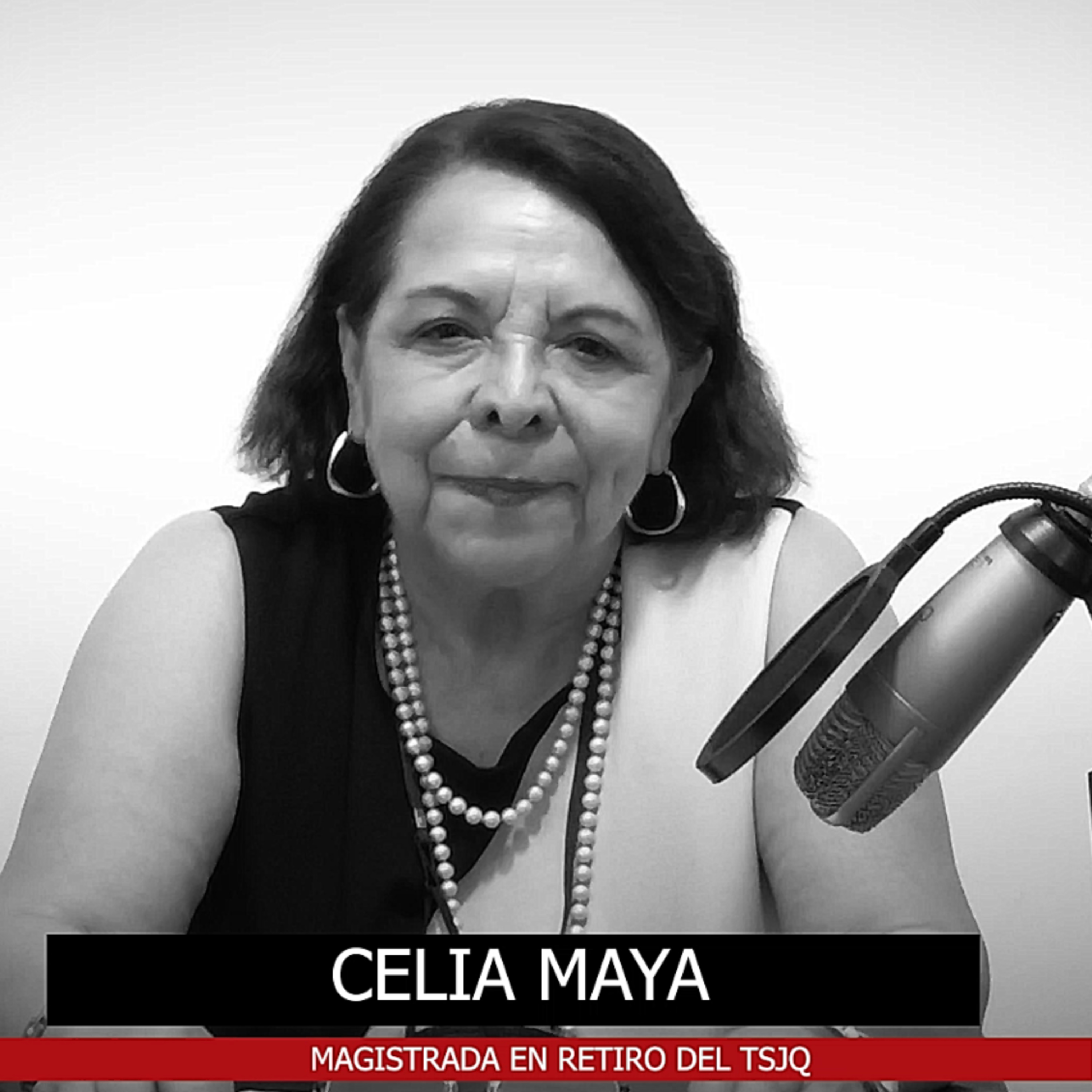 El agua es un tema público, por eso se politiza. episode artwork