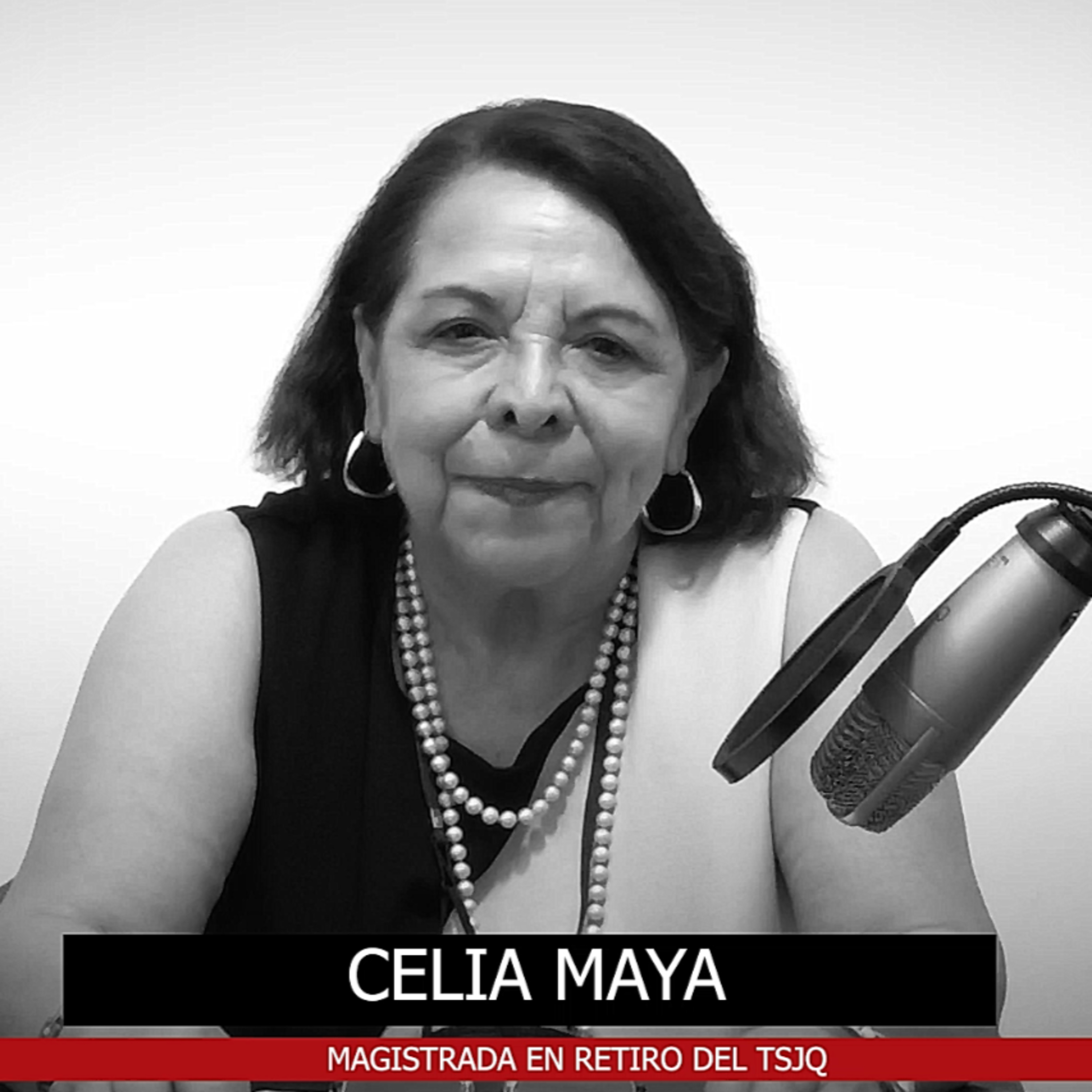 Solo la autoridad Jurisdiccional determinará si es Constitucional “Ley de aguas” episode artwork