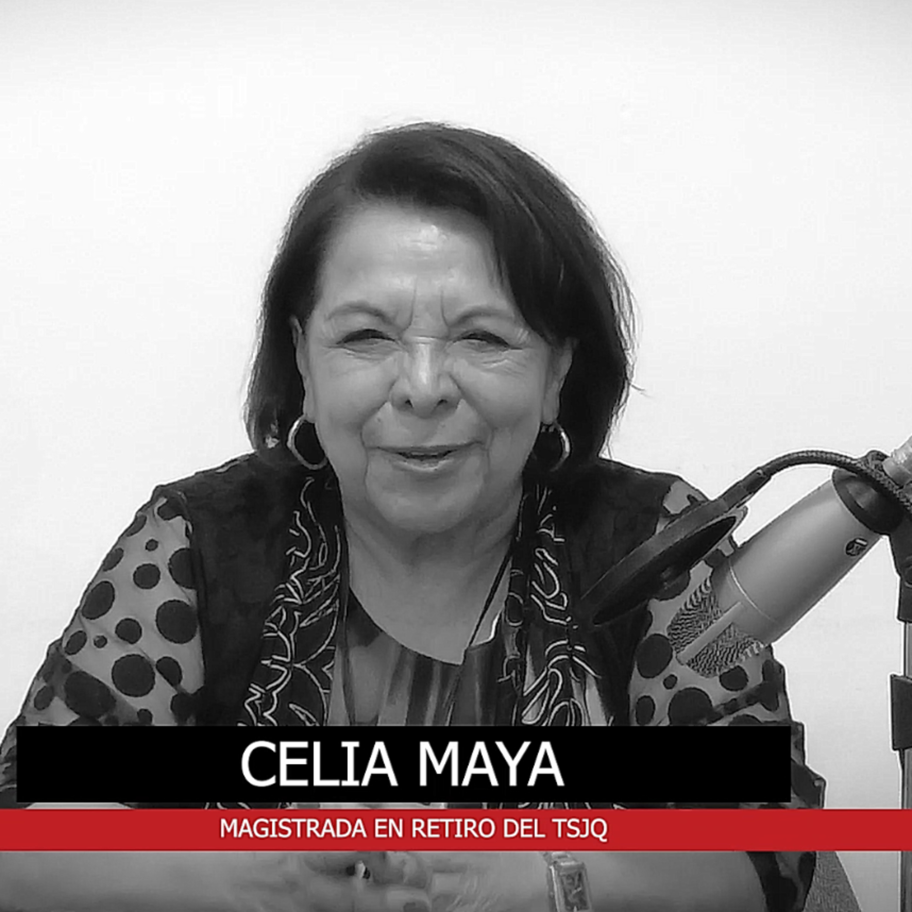 Proceso de votación para consejeros de morena. episode artwork