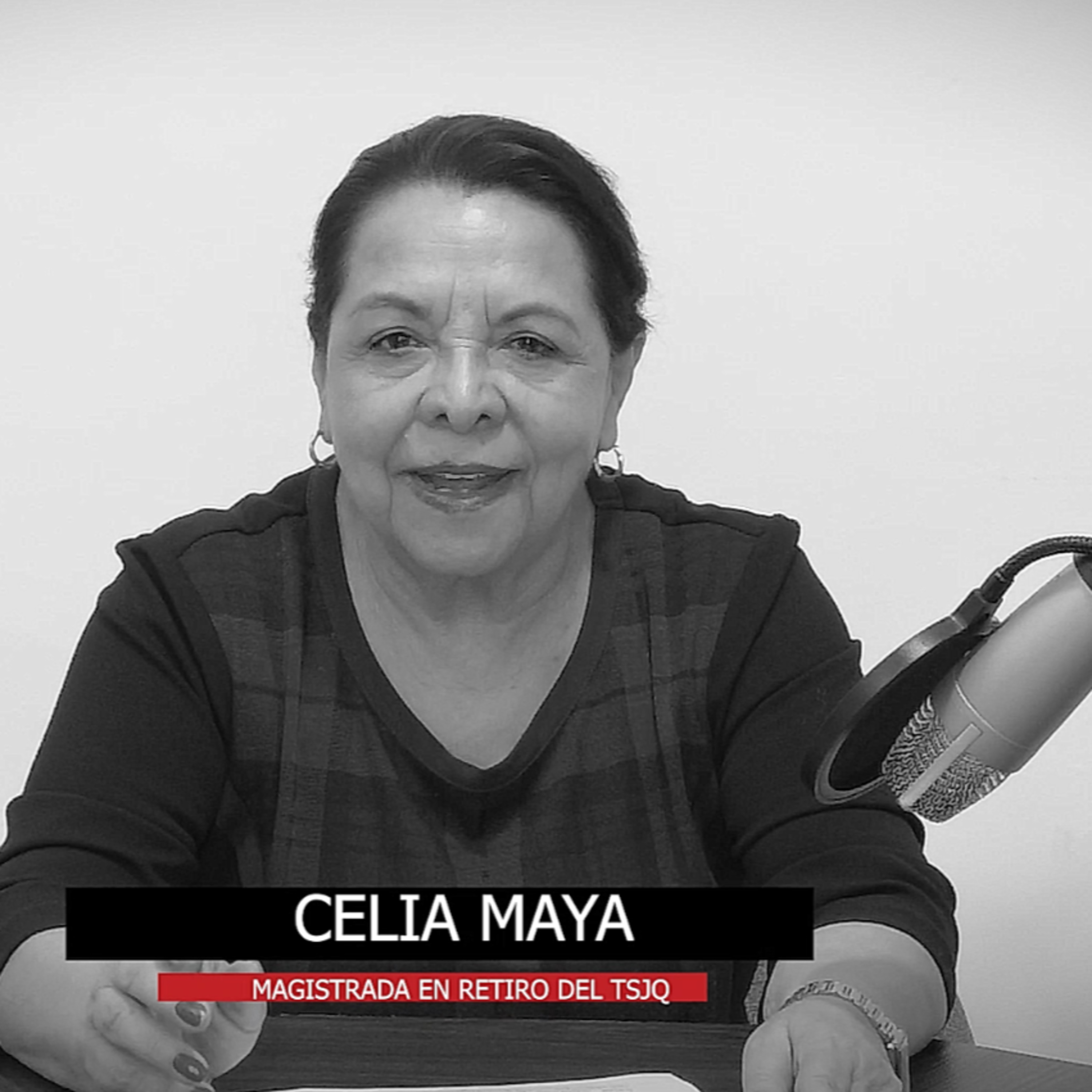 La mayoría de los Mexicanos están a favor de la #ReformaElectoral  episode artwork