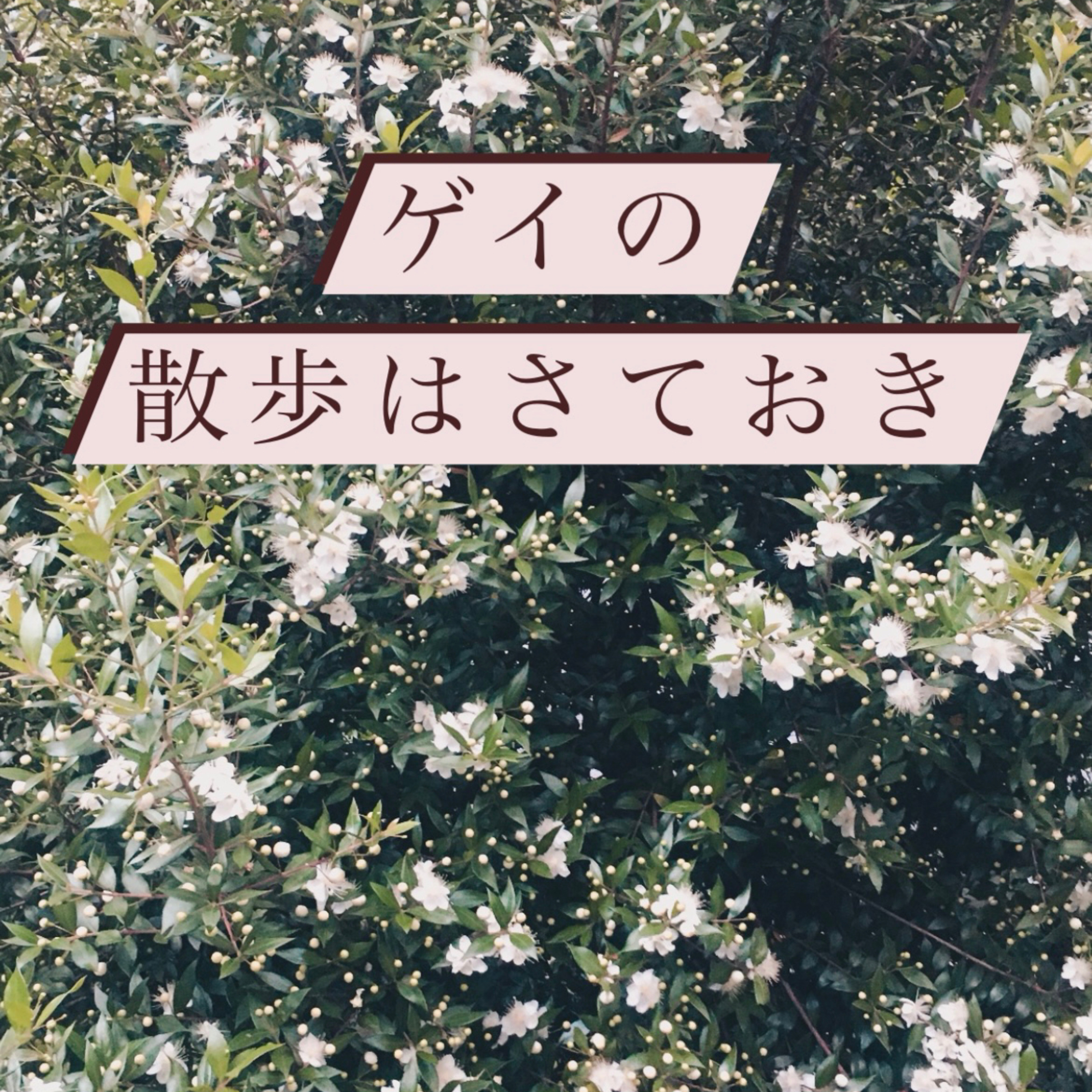 #2散歩はさておき、やさしい雨音をおもいながら今日も話そう episode artwork