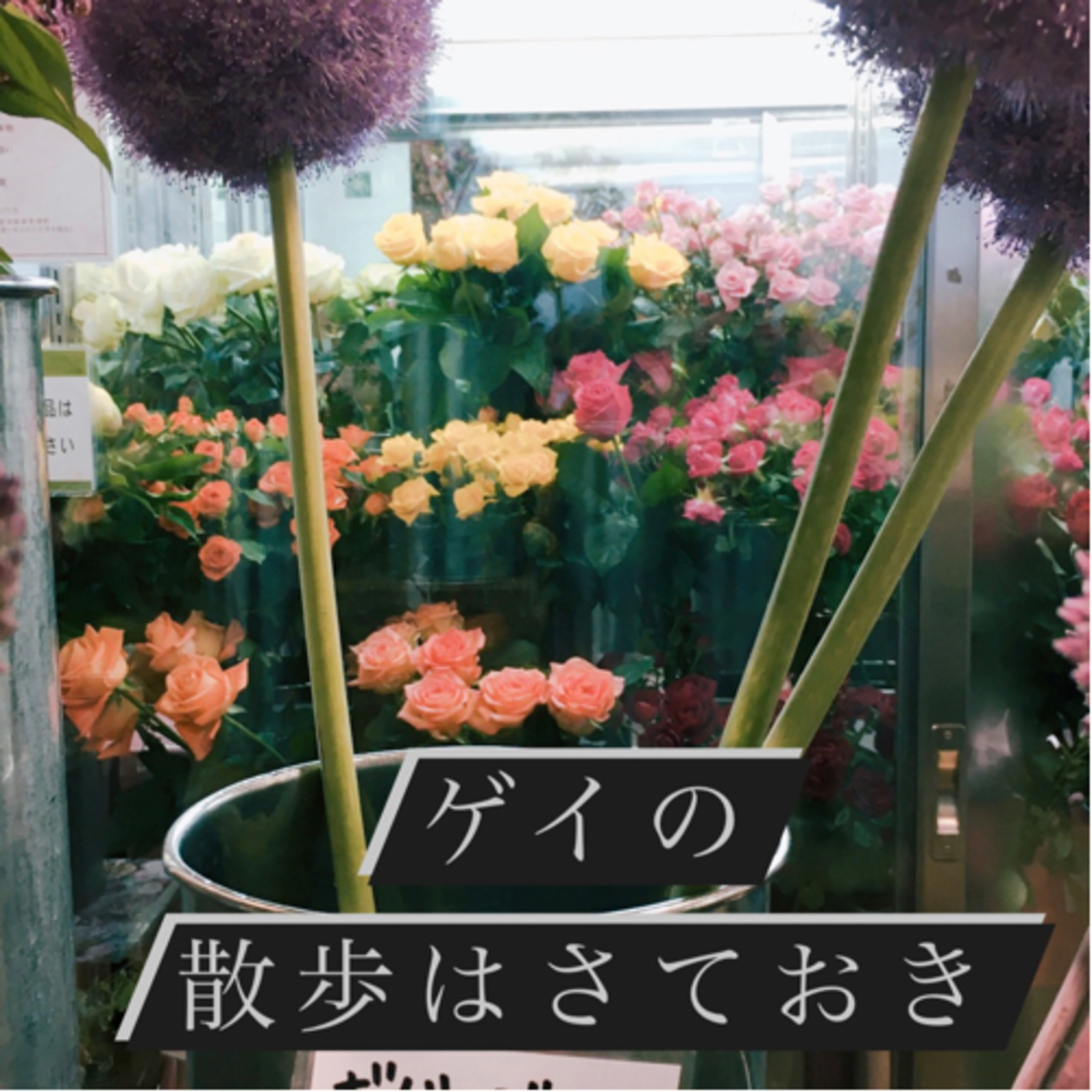 #11 夜へ向かう頃、感受性の再構築について。 episode artwork