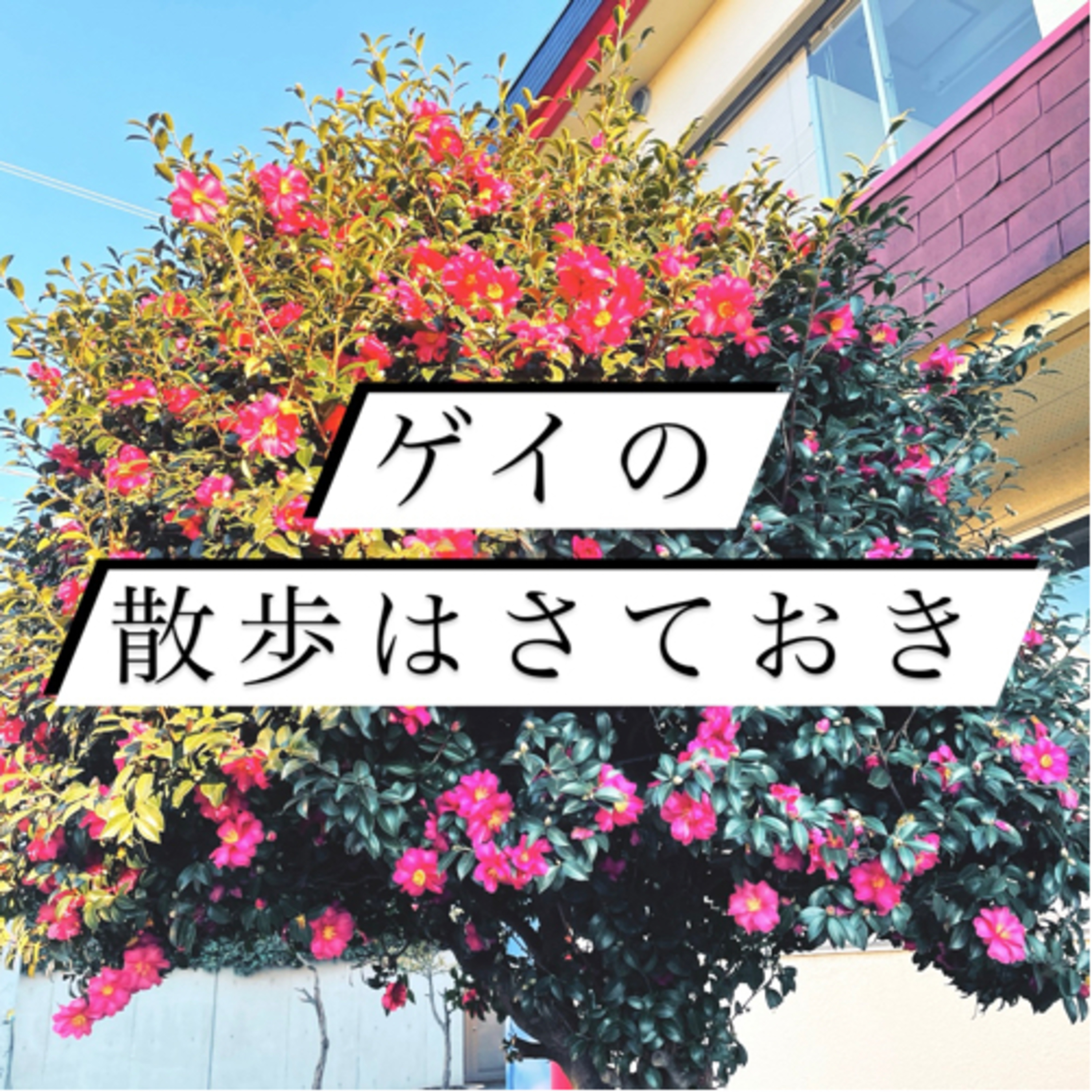 #24 ぼくが散歩を続ける理由 episode artwork