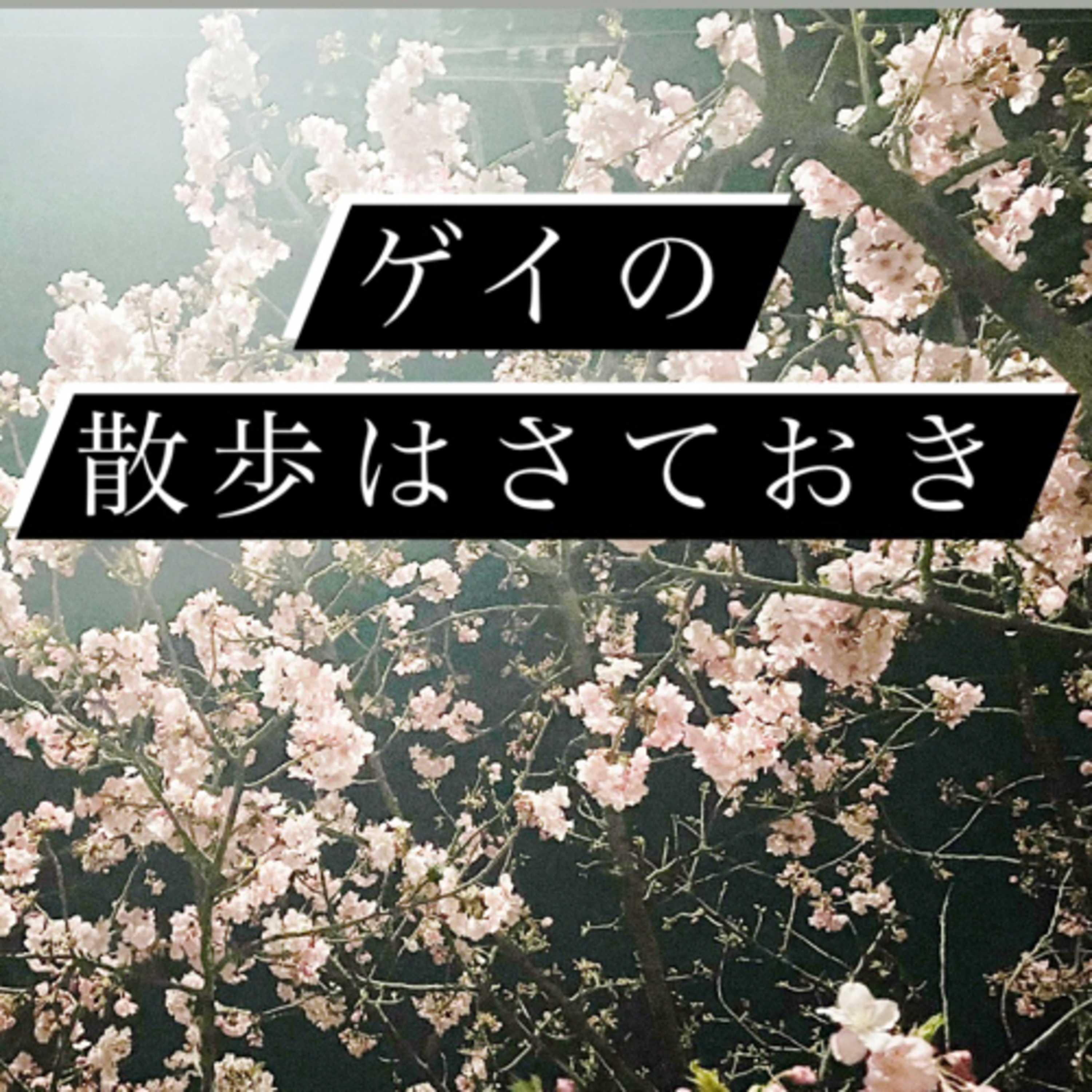#77 春の起点 episode artwork