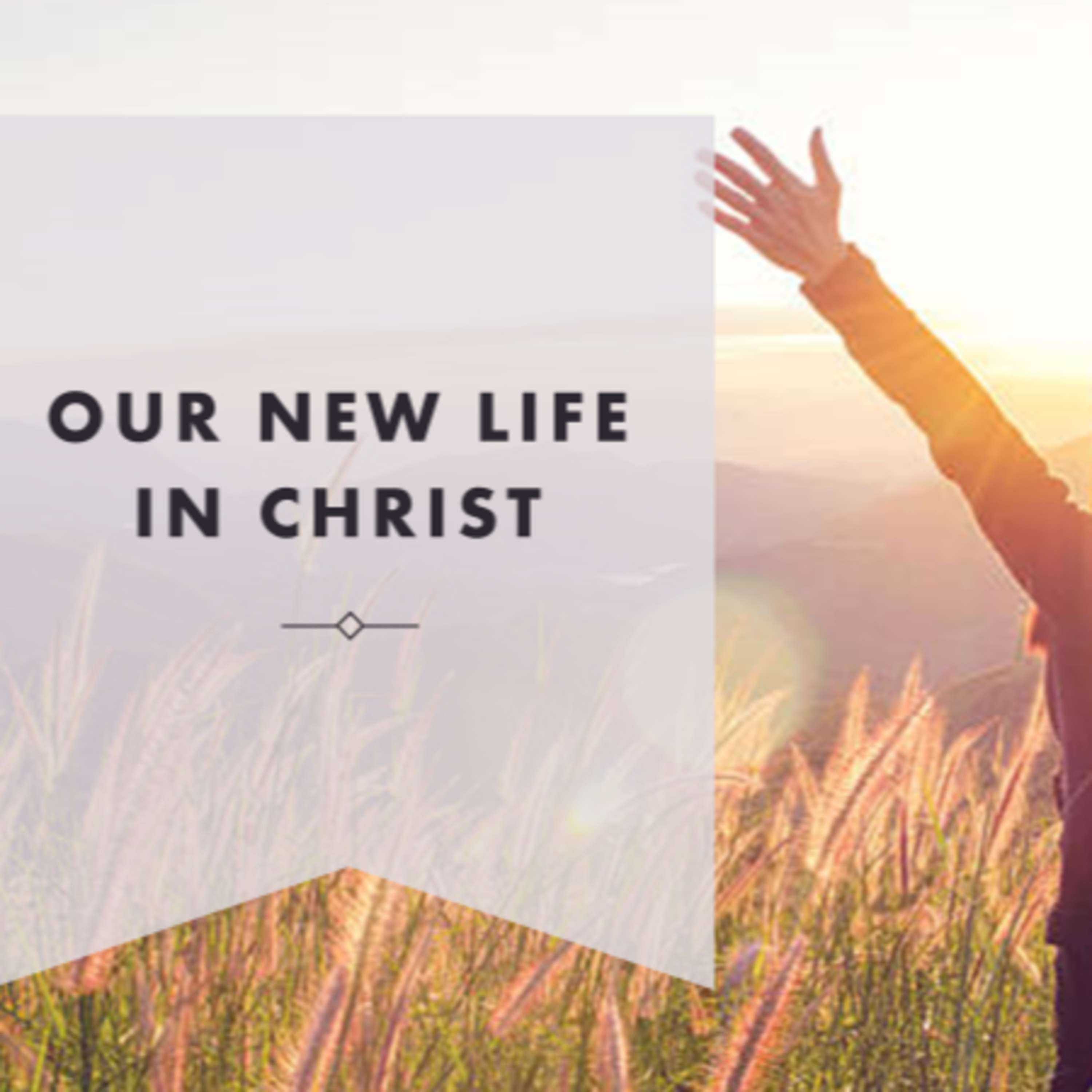 Our New Life In Christ (Derek Elkins)