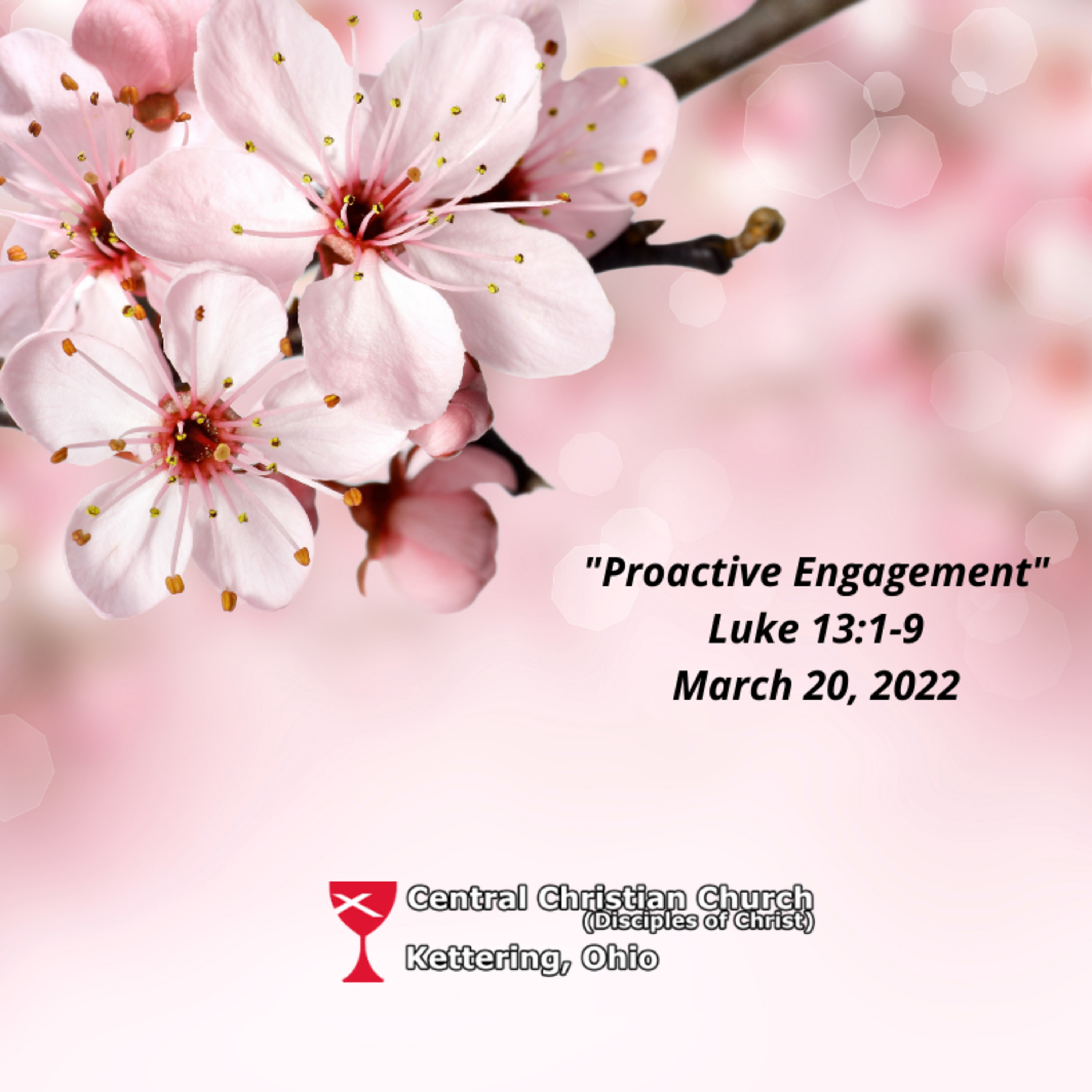 Proactive Engagement episode artwork