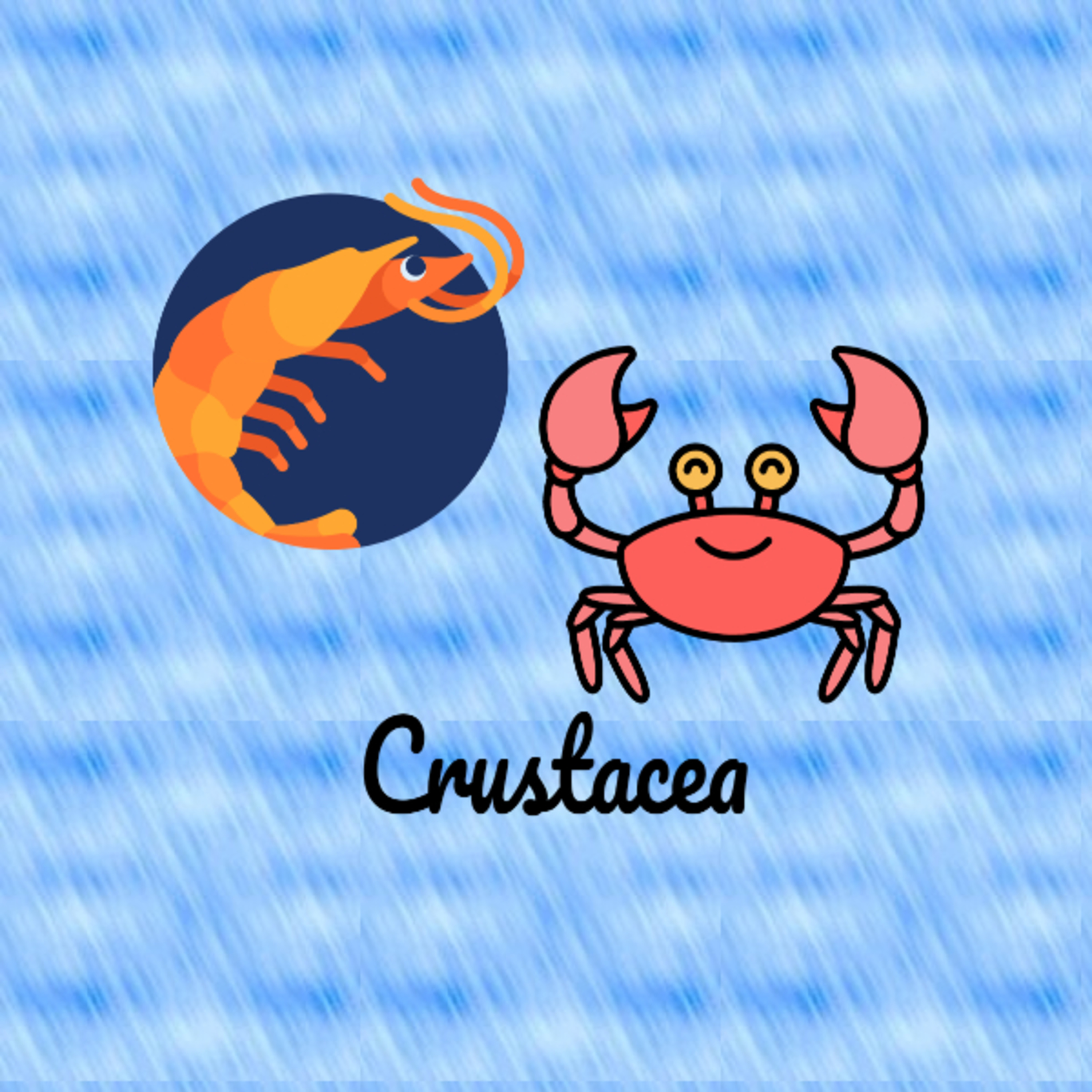 Podcast #5: Subfilo Crustacea