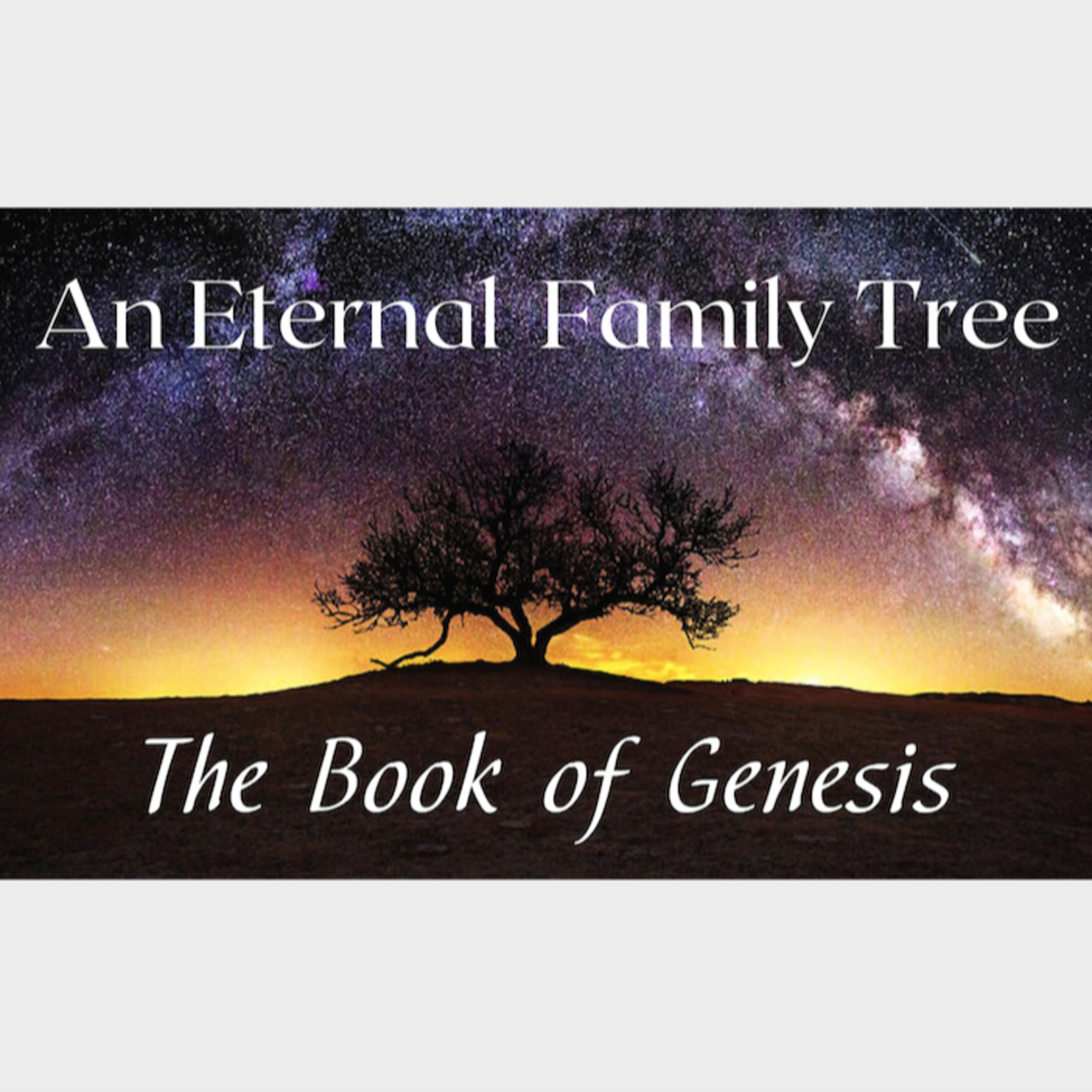 Misperceptions of Sin, Judgement, and Grace (Genesis 6-9) episode artwork
